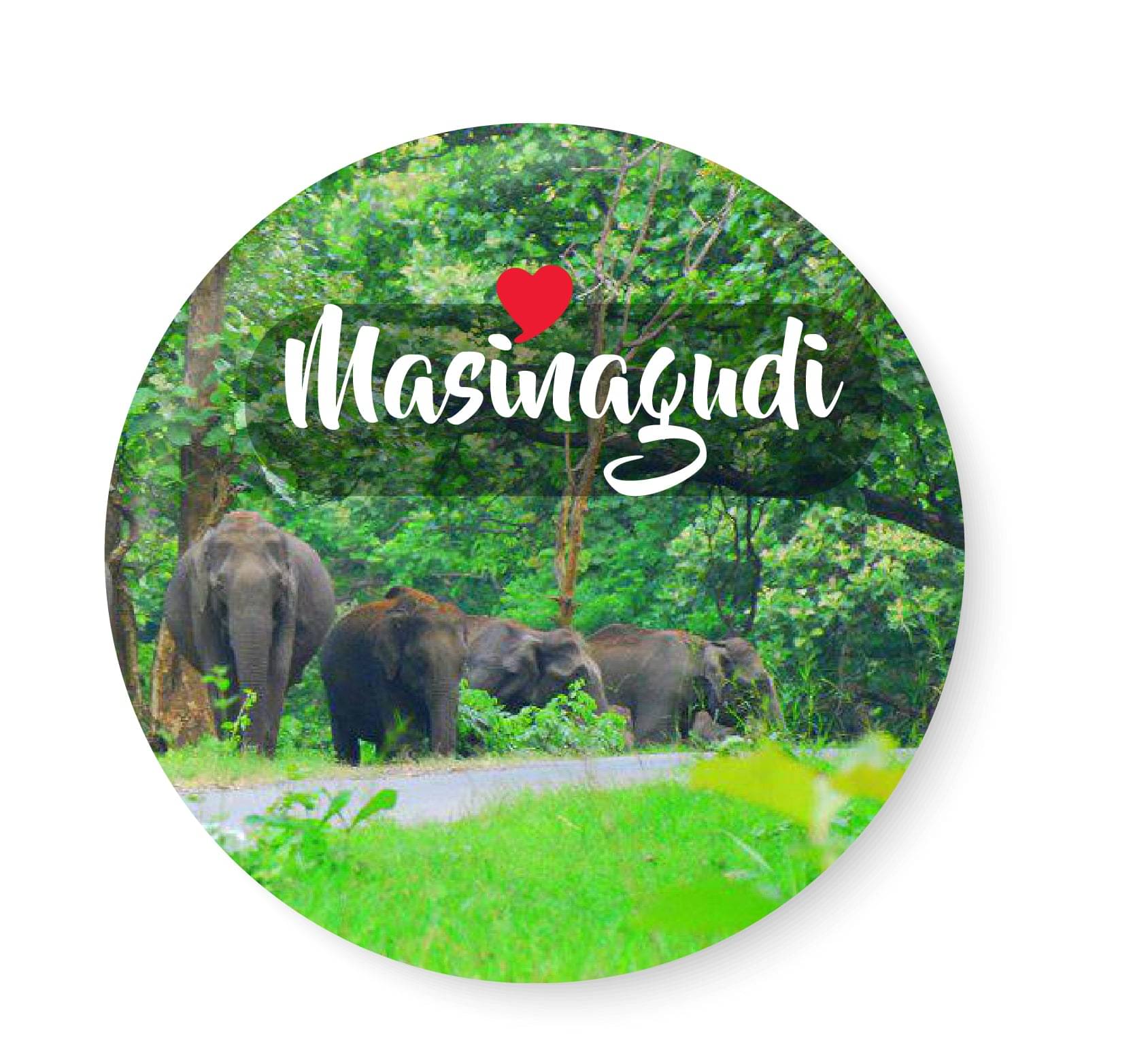     			PEACOCKRIDE Plastic Round Fridge Magnets Fridge Magnet - Pack of 1