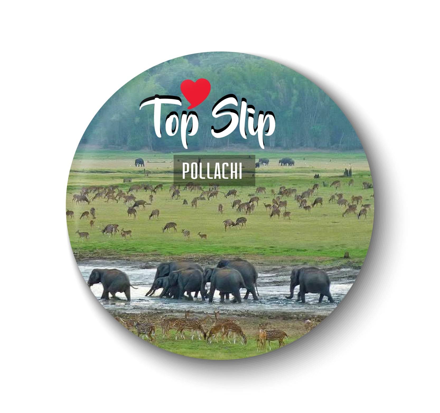     			PEACOCKRIDE Plastic Round Fridge Magnets Fridge Magnet - Pack of 1