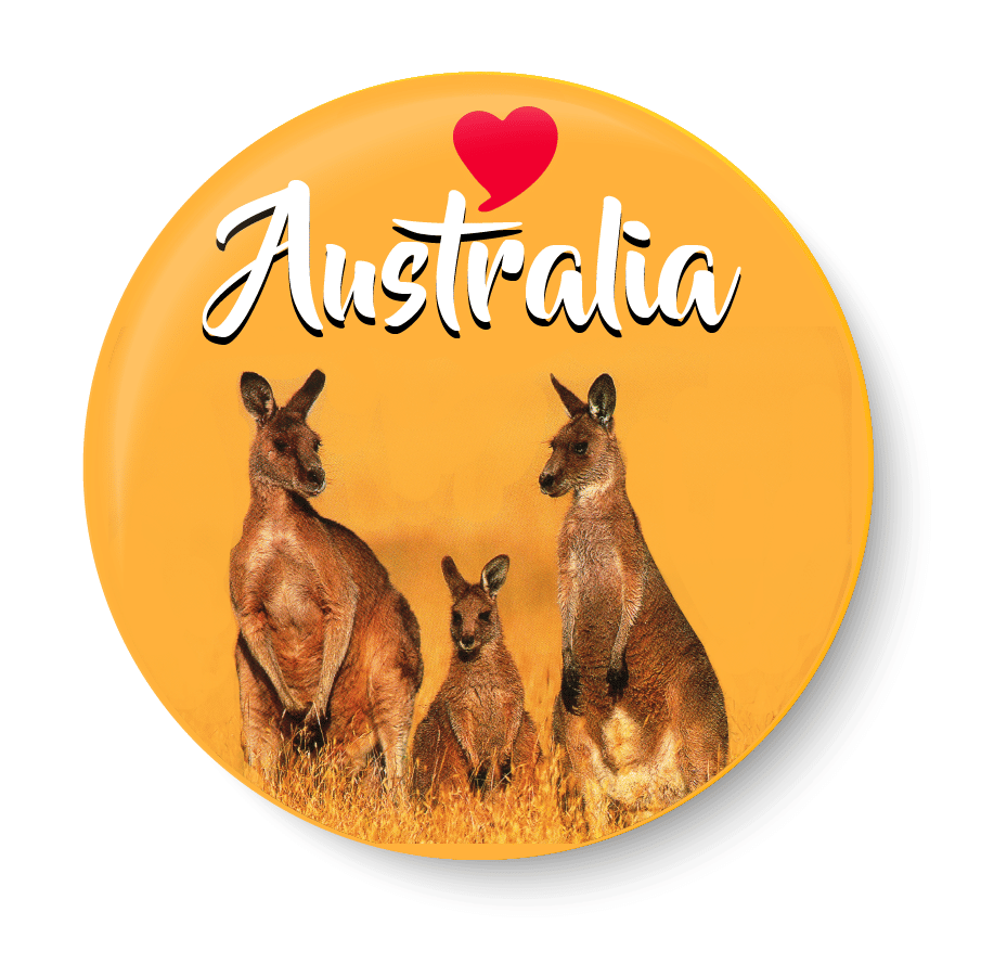 PEACOCKRIDE Plastic Round Fridge Magnets Fridge Magnet - Pack of 1 PEACOCKRIDE Plastic Round Fridge Magnets Fridge Magnet - Pack of 1