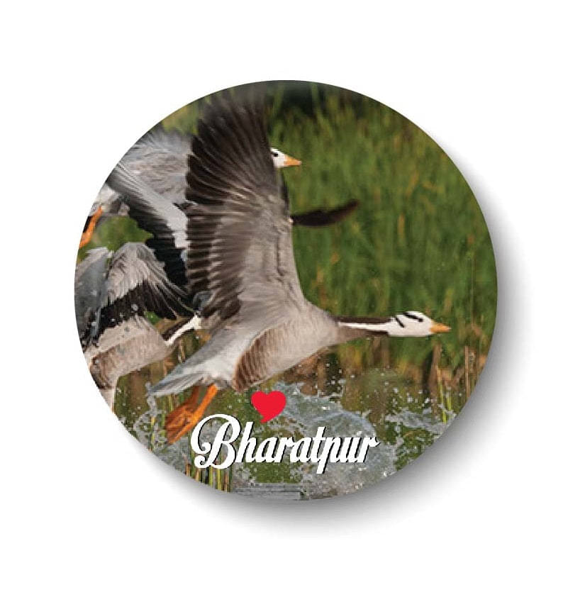 PEACOCKRIDE Bharatpur Plastic Round Fridge Magnets Fridge Magnet - Pack of 1 PEACOCKRIDE Bharatpur Plastic Round Fridge Magnets Fridge Magnet - Pack of 1