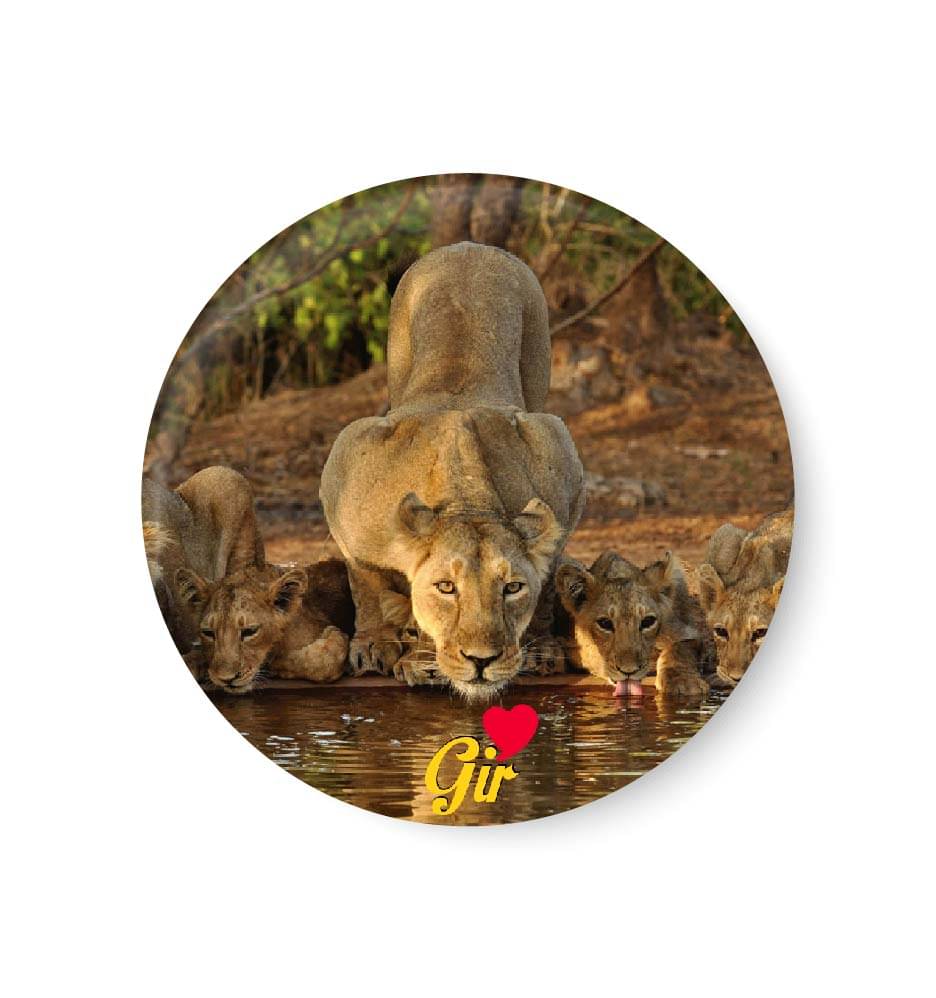 PEACOCKRIDE Gir Plastic Round Fridge Magnets Fridge Magnet - Pack of 1 PEACOCKRIDE Gir Plastic Round Fridge Magnets Fridge Magnet - Pack of 1