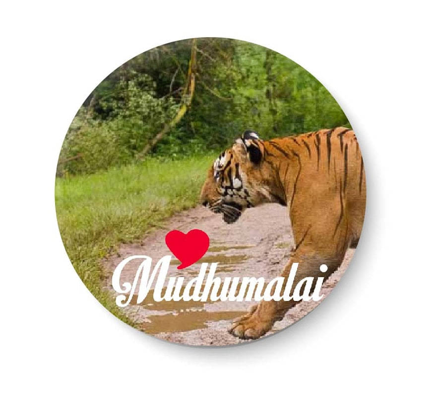 PEACOCKRIDE Mudhumalai Plastic Round Fridge Magnets Fridge Magnet - Pack of 1 PEACOCKRIDE Mudhumalai Plastic Round Fridge Magnets Fridge Magnet - Pack of 1