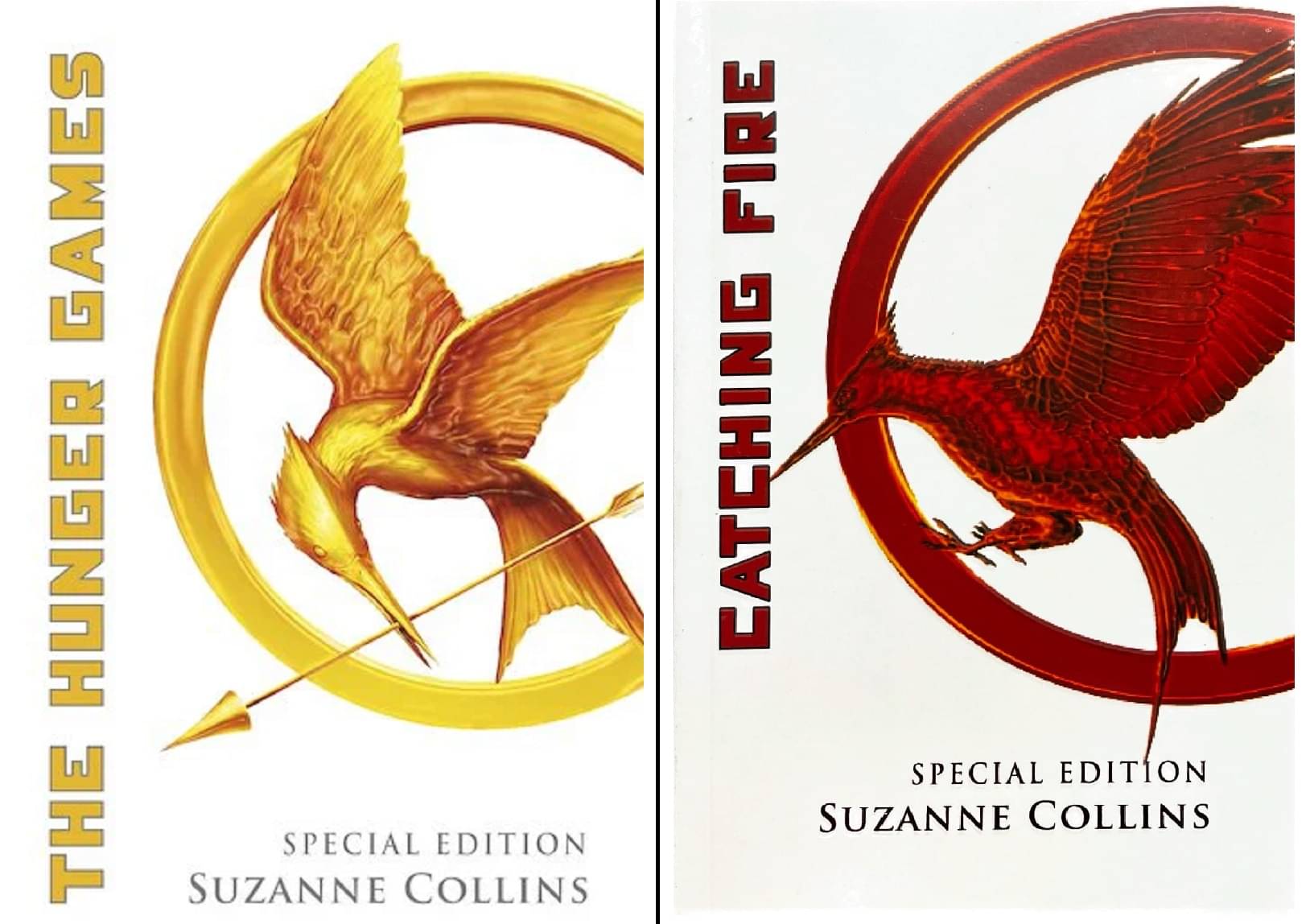     			Suzanne Collins 2 Books Set: Hunger Games and Catching Fire (English, Paperback)