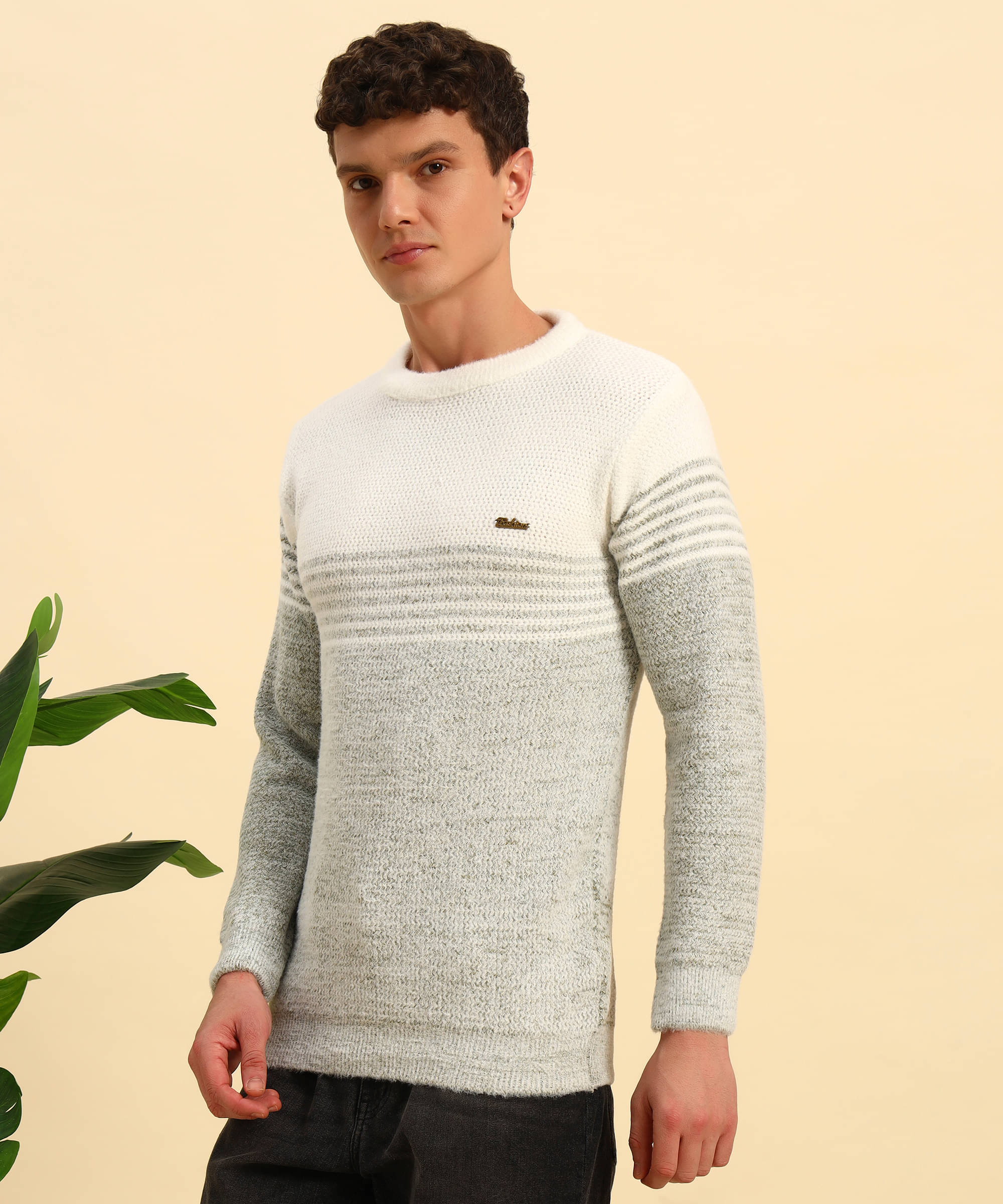     			Canblar Woollen Blend Round Neck Men's Full Sleeves Pullover Sweater - Green ( Pack of 1 )