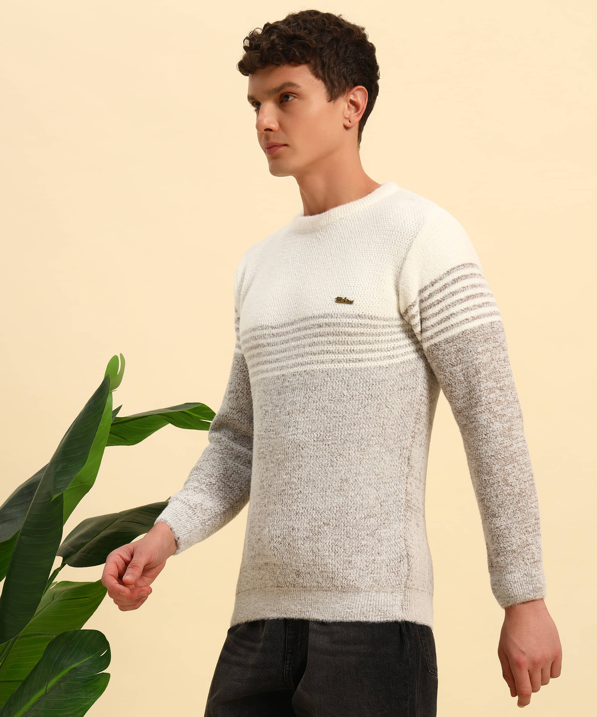 Canblar Woollen Blend Round Neck Men's Full Sleeves Pullover Sweater - Coffee ( Pack of 1 ) Canblar Woollen Blend Round Neck Men's Full Sleeves Pullover Sweater - Coffee ( Pack of 1 )