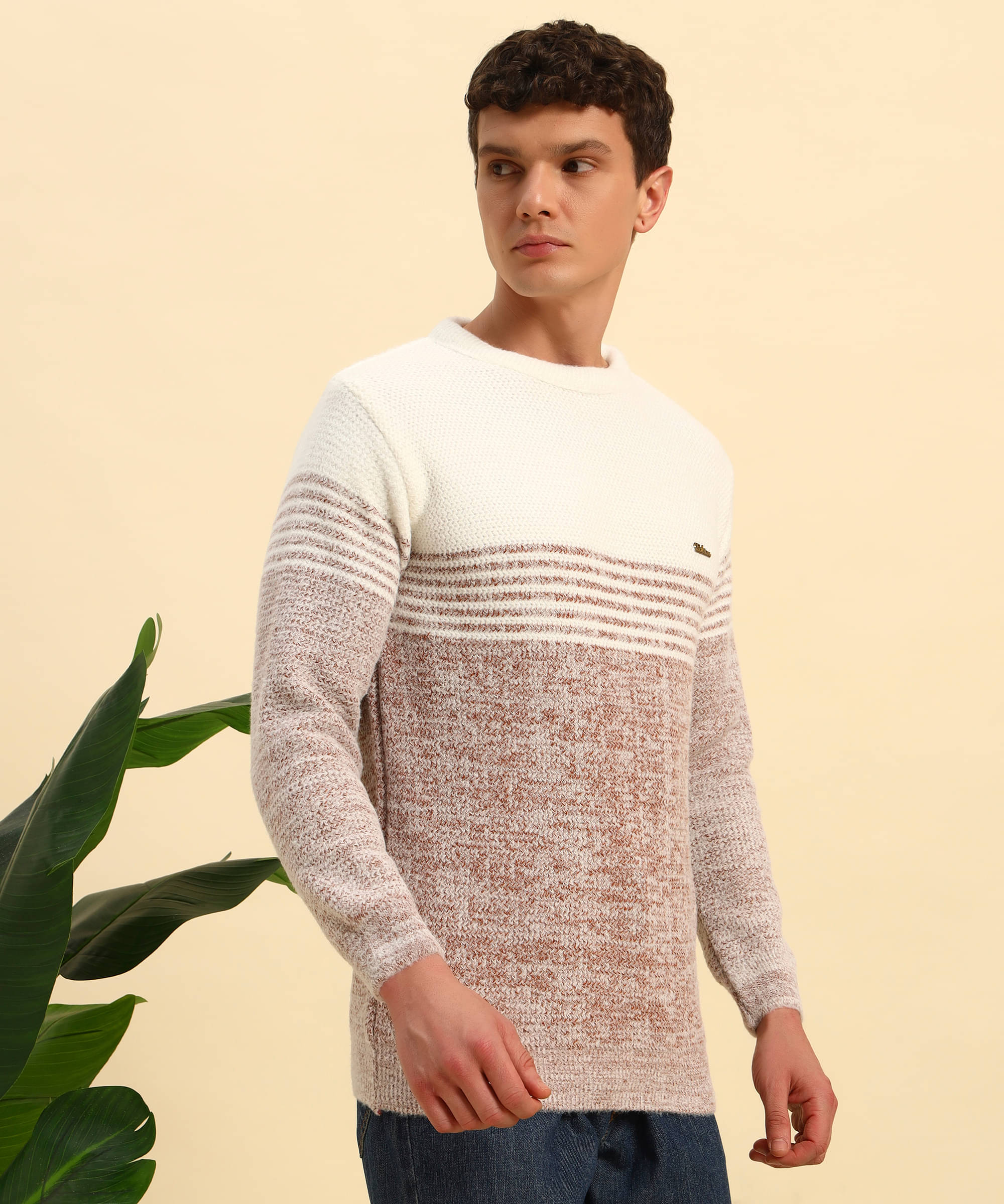     			Canblar Woollen Blend Round Neck Men's Full Sleeves Pullover Sweater - Brown ( Pack of 1 )