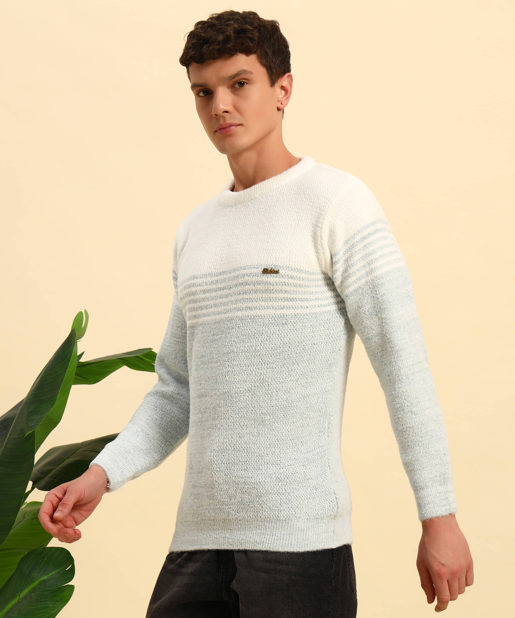     			Canblar Woollen Blend Round Neck Men's Full Sleeves Pullover Sweater - Sea Green ( Pack of 1 )