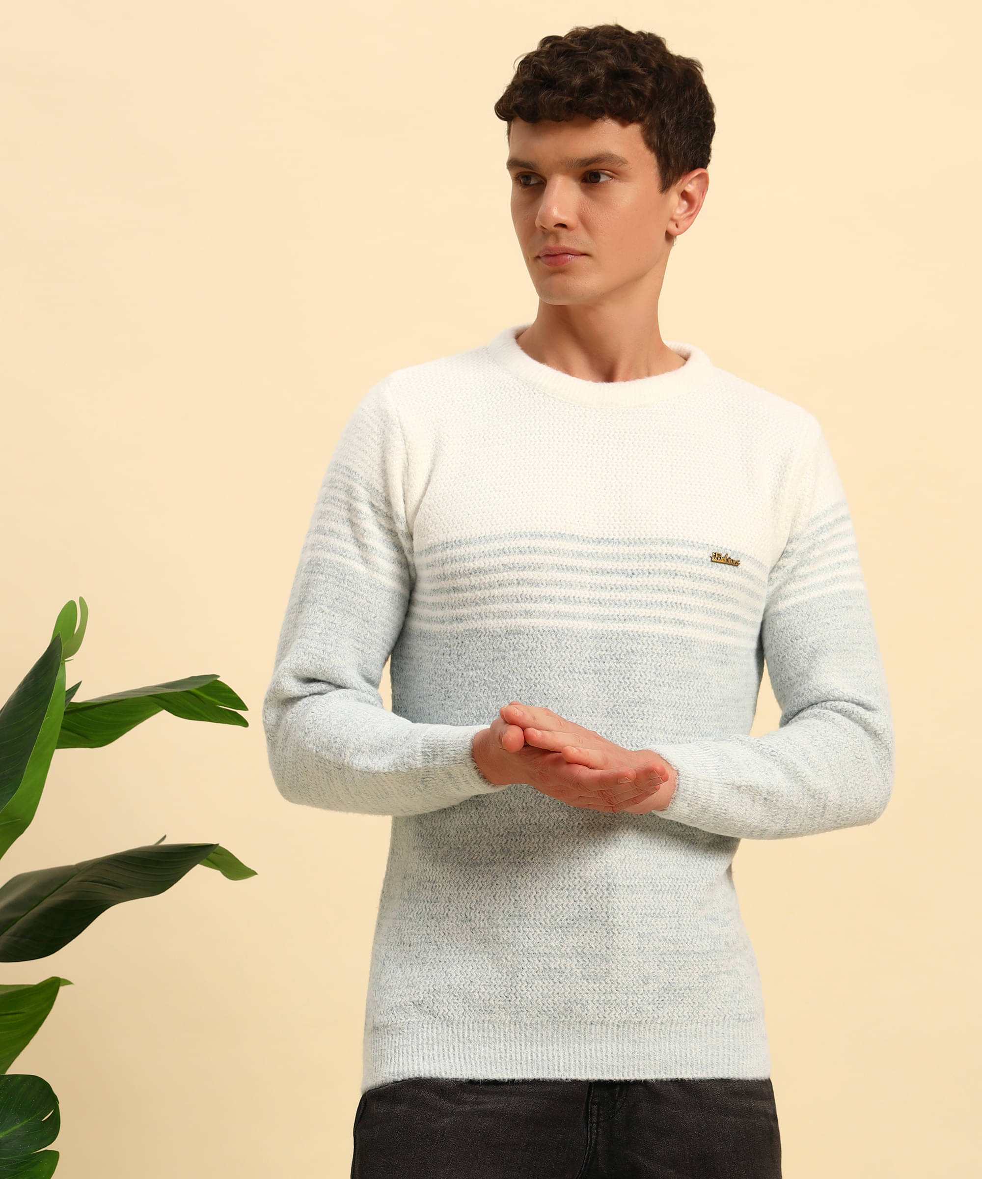     			Canblar Woollen Blend Round Neck Men's Full Sleeves Pullover Sweater - Sea Green ( Pack of 1 )