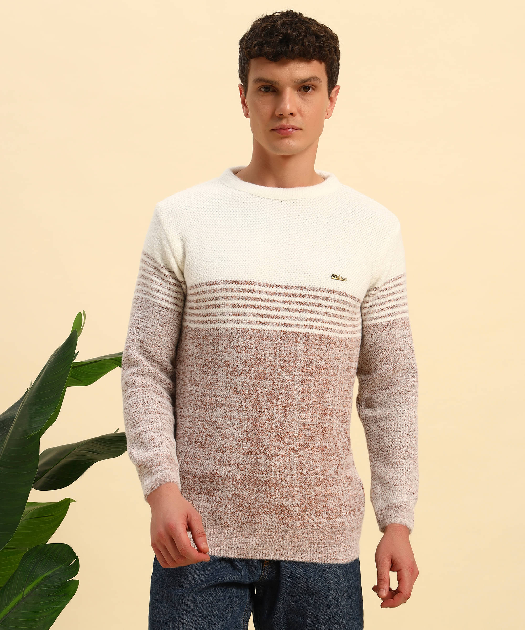 Canblar Woollen Blend Round Neck Men's Full Sleeves Pullover Sweater - Brown ( Pack of 1 ) Canblar Woollen Blend Round Neck Men's Full Sleeves Pullover Sweater - Brown ( Pack of 1 )