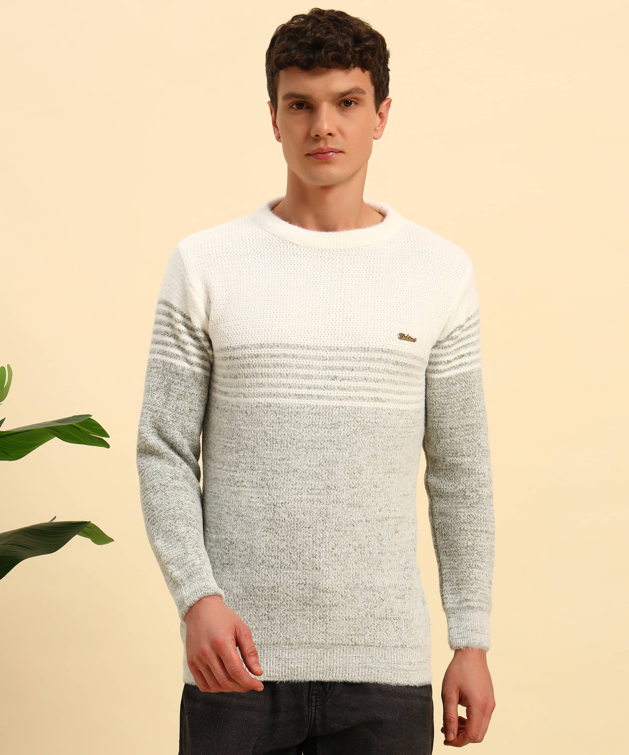     			Canblar Woollen Blend Round Neck Men's Full Sleeves Pullover Sweater - Green ( Pack of 1 )