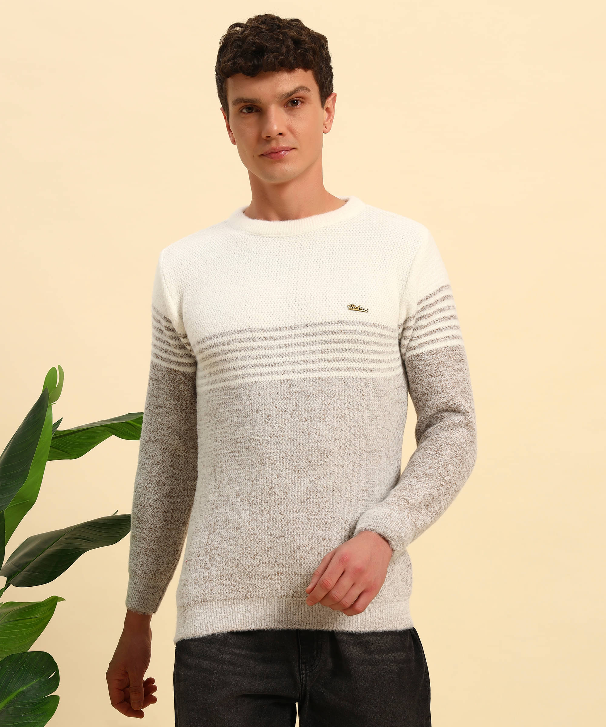 Canblar Woollen Blend Round Neck Men's Full Sleeves Pullover Sweater - Coffee ( Pack of 1 )     			Canblar Woollen Blend Round Neck Men's Full Sleeves Pullover Sweater - Coffee ( Pack of 1 )