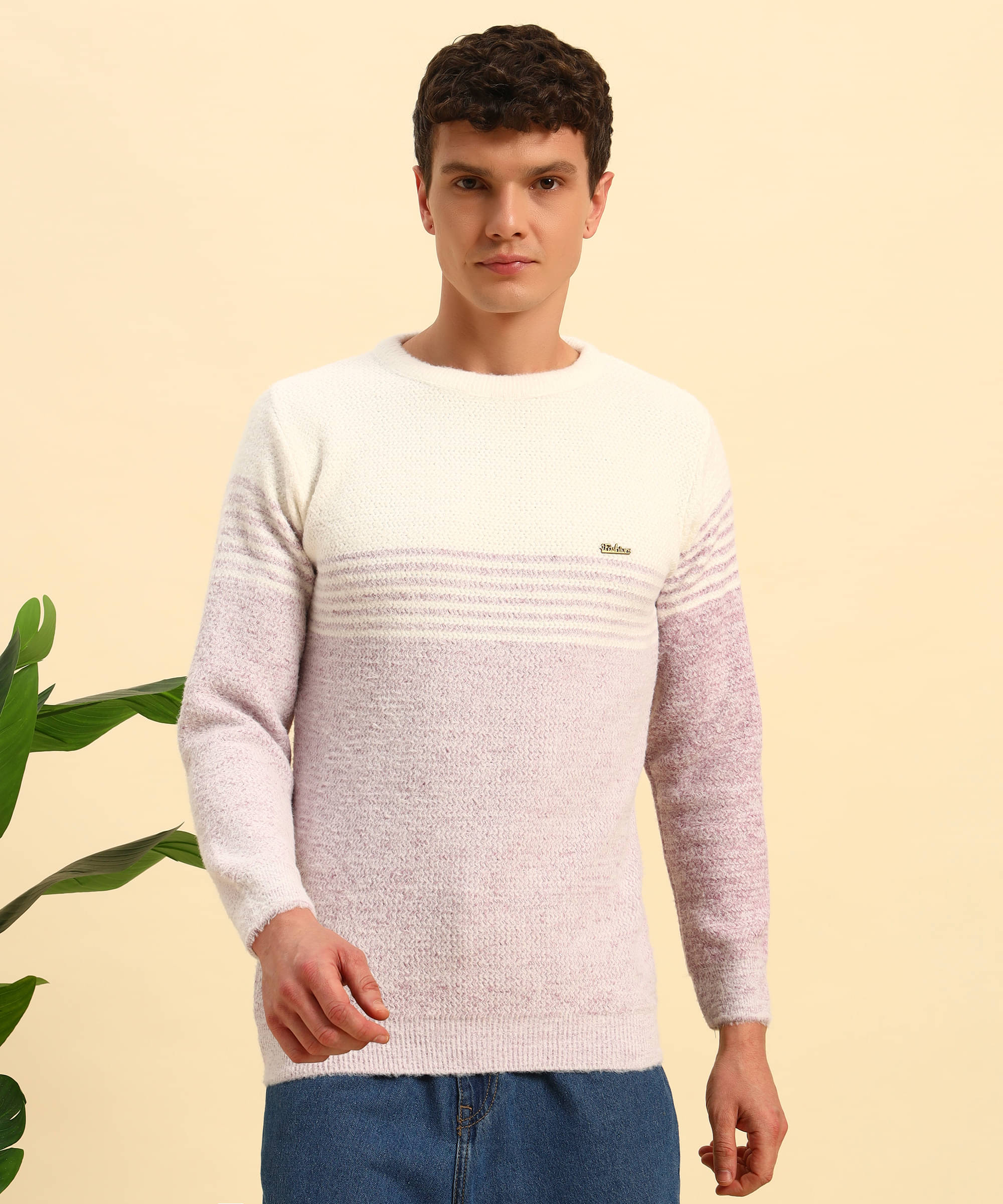 Canblar Woollen Blend Round Neck Men's Full Sleeves Pullover Sweater - Lavender ( Pack of 1 )     			Canblar Woollen Blend Round Neck Men's Full Sleeves Pullover Sweater - Lavender ( Pack of 1 )