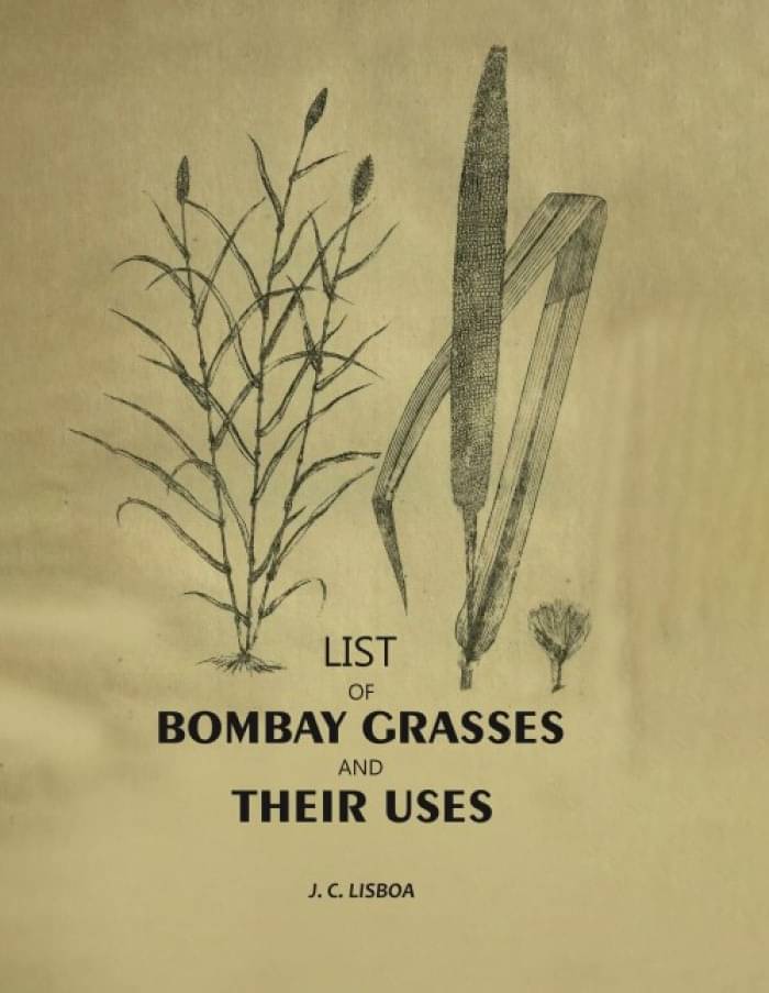     			List Of Bombay Grasses And Their Uses