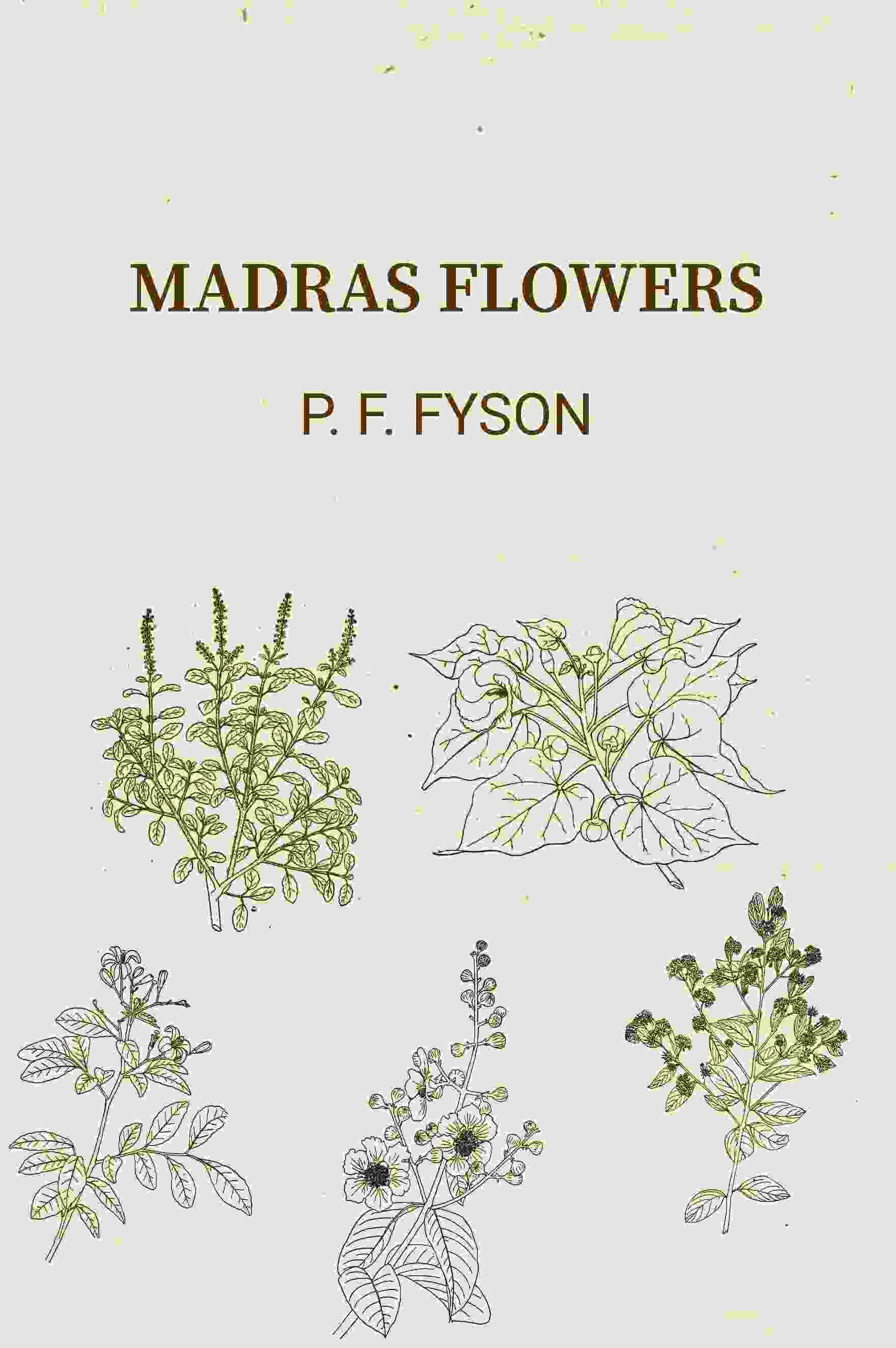     			Madras Flowers