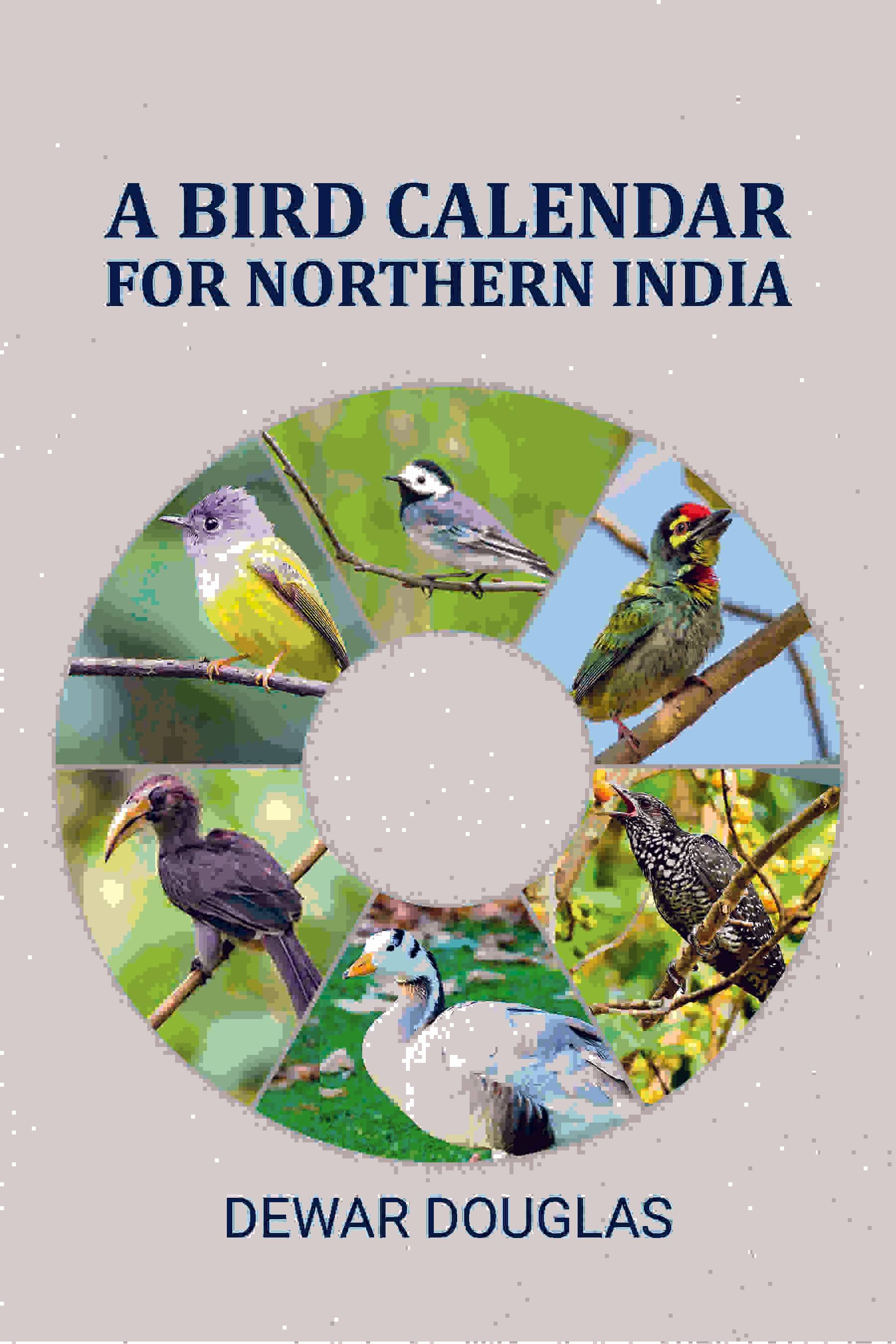     			A bird calendar for northern India