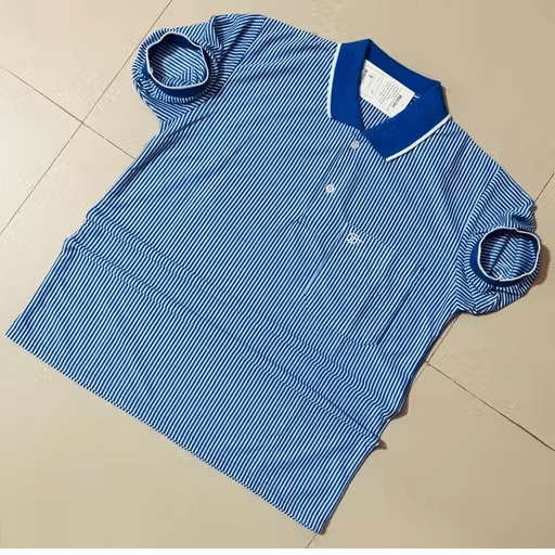     			Generic Charvneet enterprises Men Cotton Blend Regular Fit Striped Polo T Shirt ( Sky Blue )
