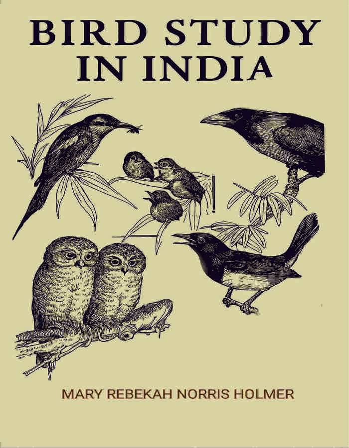     			Bird Study in India