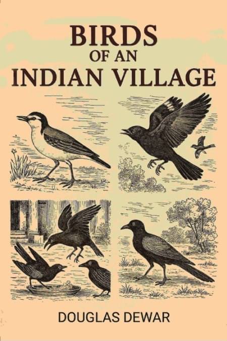     			Birds Of An Indian Village