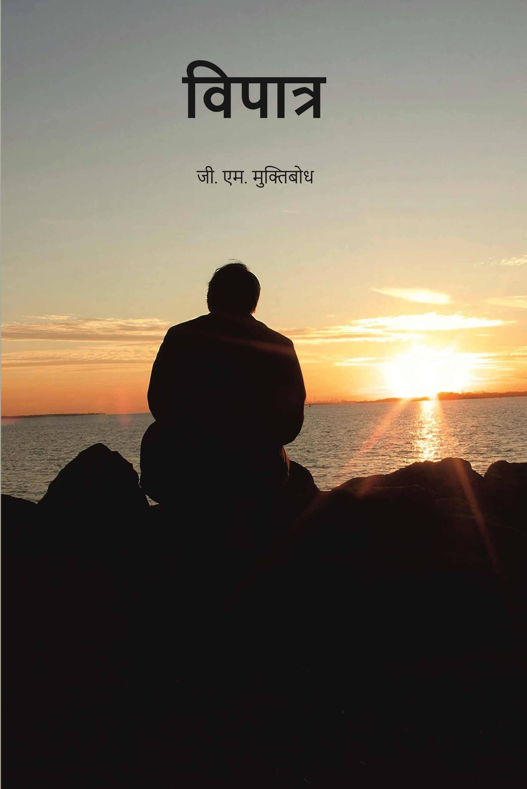     			विपात्र (vipaatr) [Hardcover]