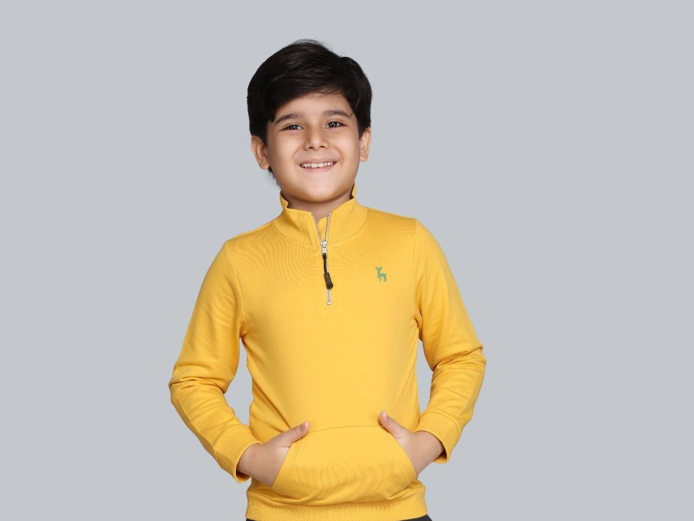     			PLUM TREE Pack of 1 Boys Cotton Sweatshirt ( Yellow )