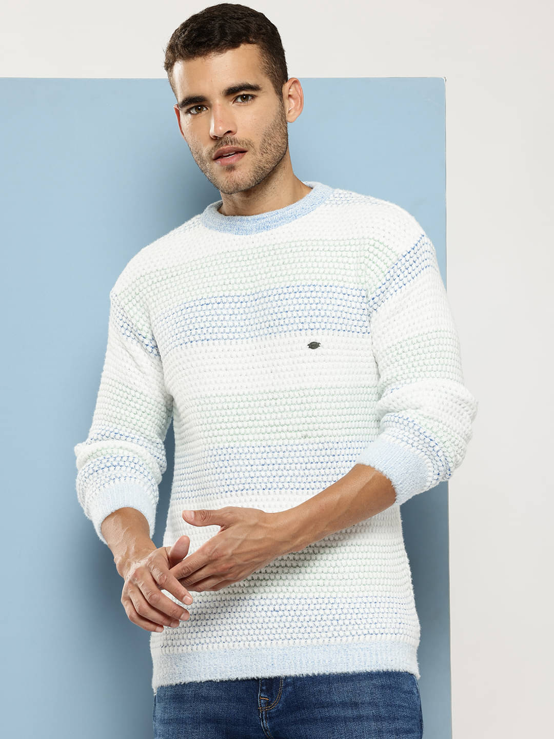     			Aarika Woollen Round Neck Men's Full Sleeves Pullover Sweater - Sea Green ( Pack of 1 )