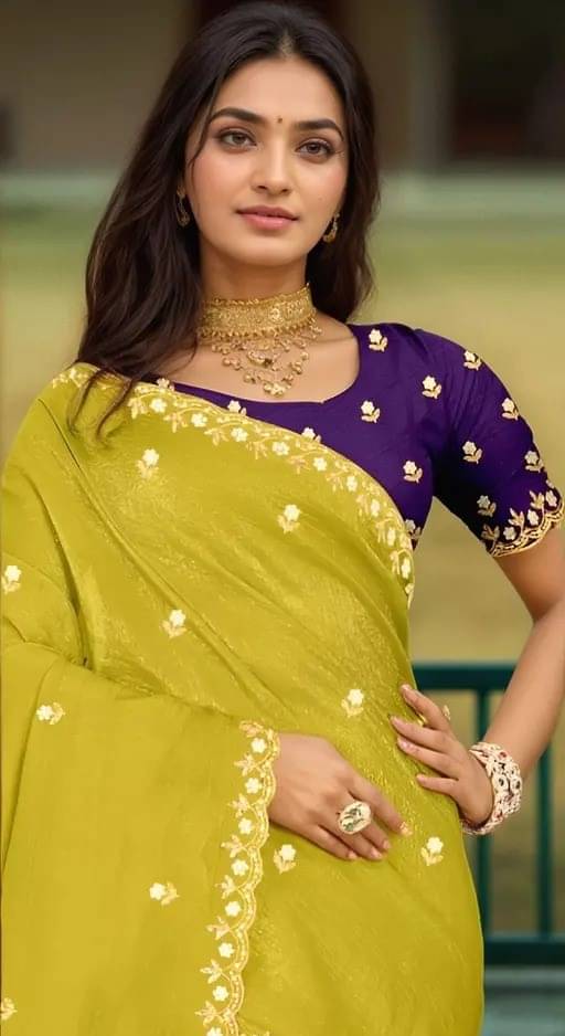     			SATVASHIV Chiffon Embroidered Regular Saree With Unstitched Blouse Piece ( Light Green )