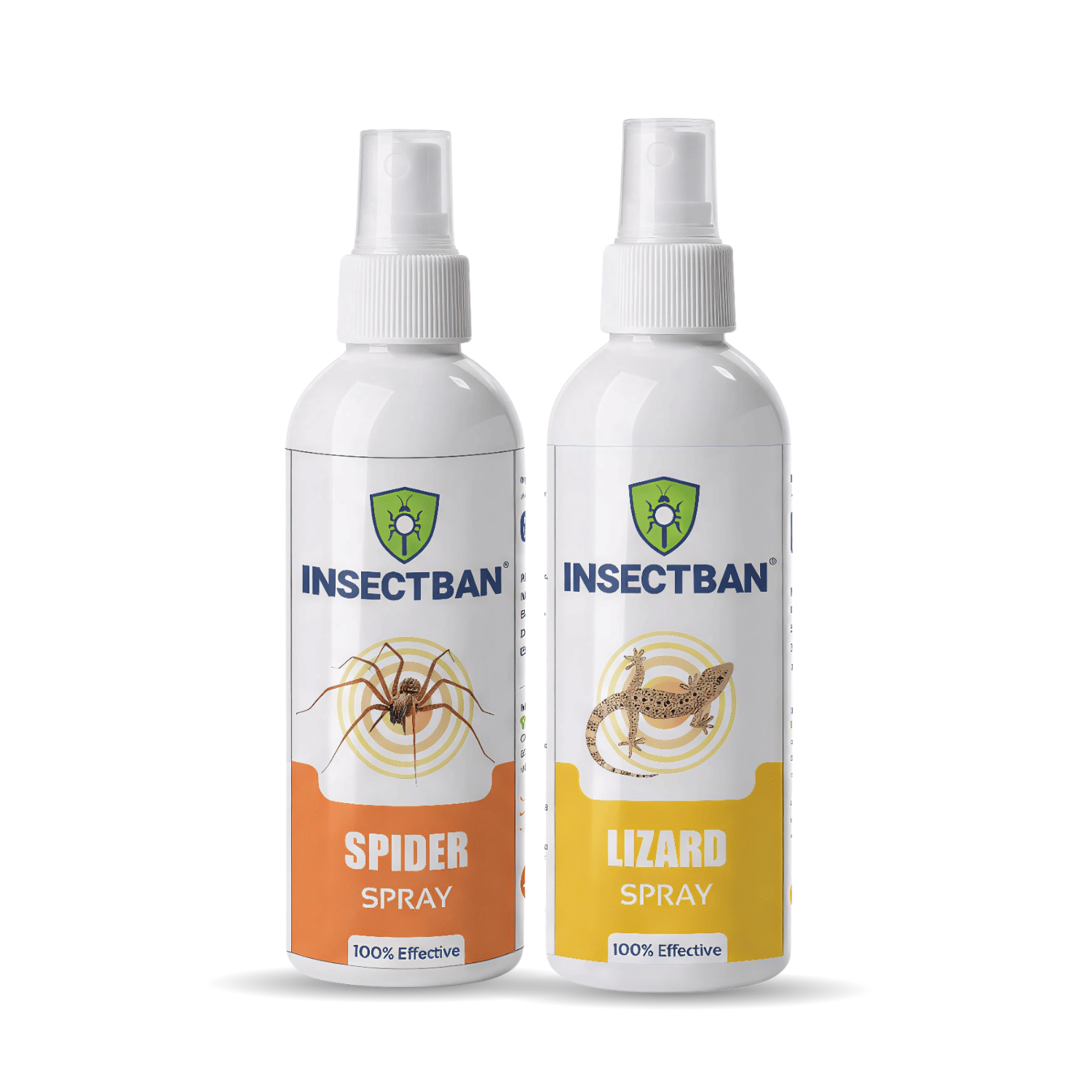     			INSECTBAN Spider & Lizard Spray | Dual Action for Home | 100% Effective Formula to Repel Lizards & Kill Spiders | Safe & Easy-to-Use Combo Pack (100ml Each)