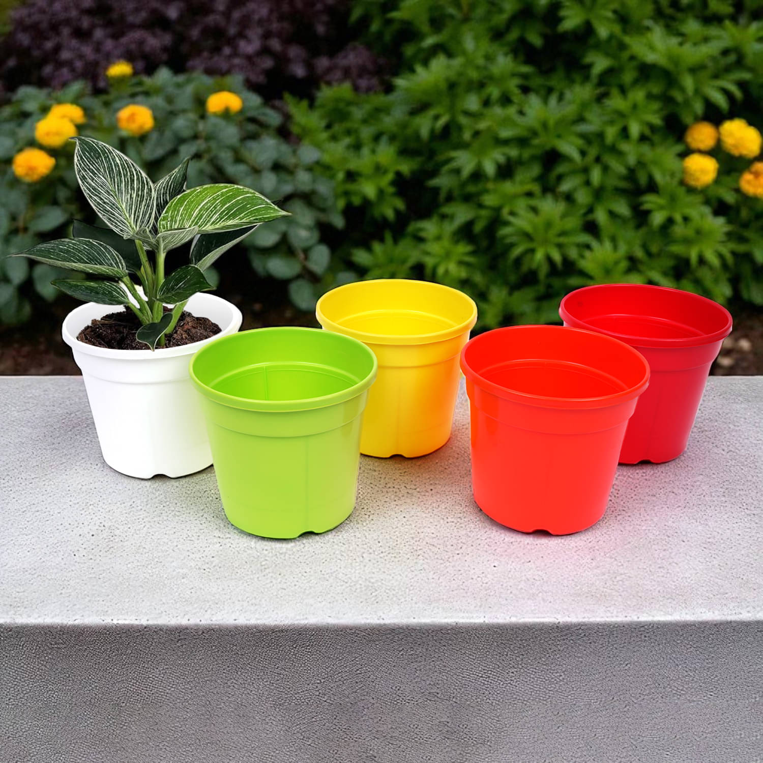     			Nursery Pots Set of 20 – 6.1 Inch Mixed Fresh Colors Plastic Planters for Indoor & Outdoor Gardening, Ideal for Seedlings, Herbs, Flowers, Durable, Lightweight, with Drainage Holes