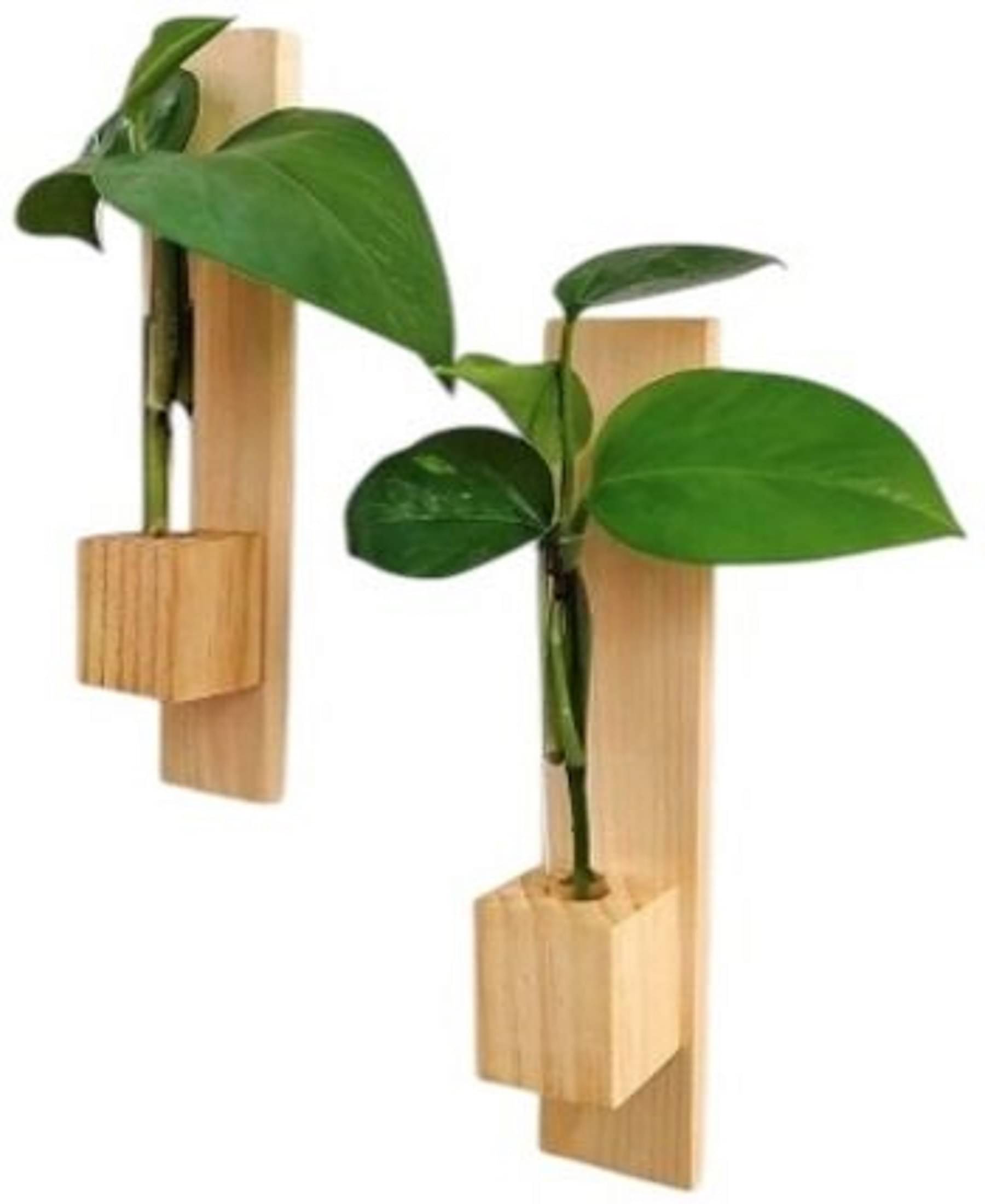     			Vivan Creation Test Tube Plant Container Set  (Pack of 2, Wood)