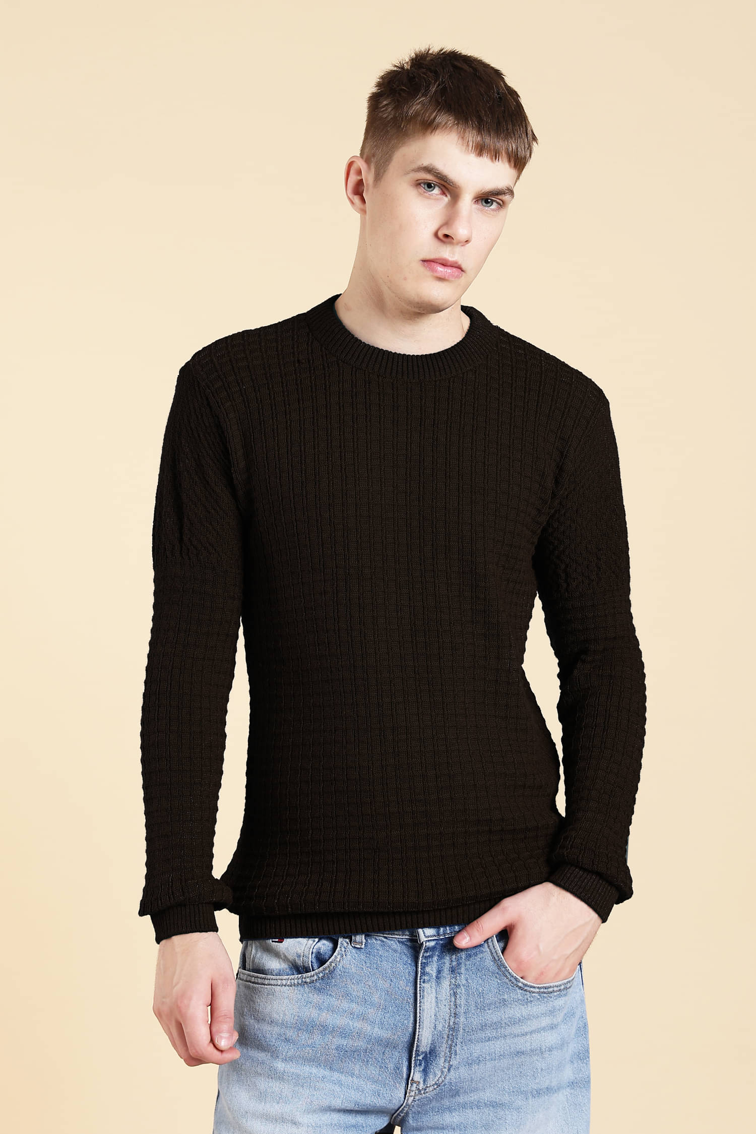     			CAT BUNNY Woollen Round Neck Men's Full Sleeves Pullover Sweater - Brown ( Pack of 1 )