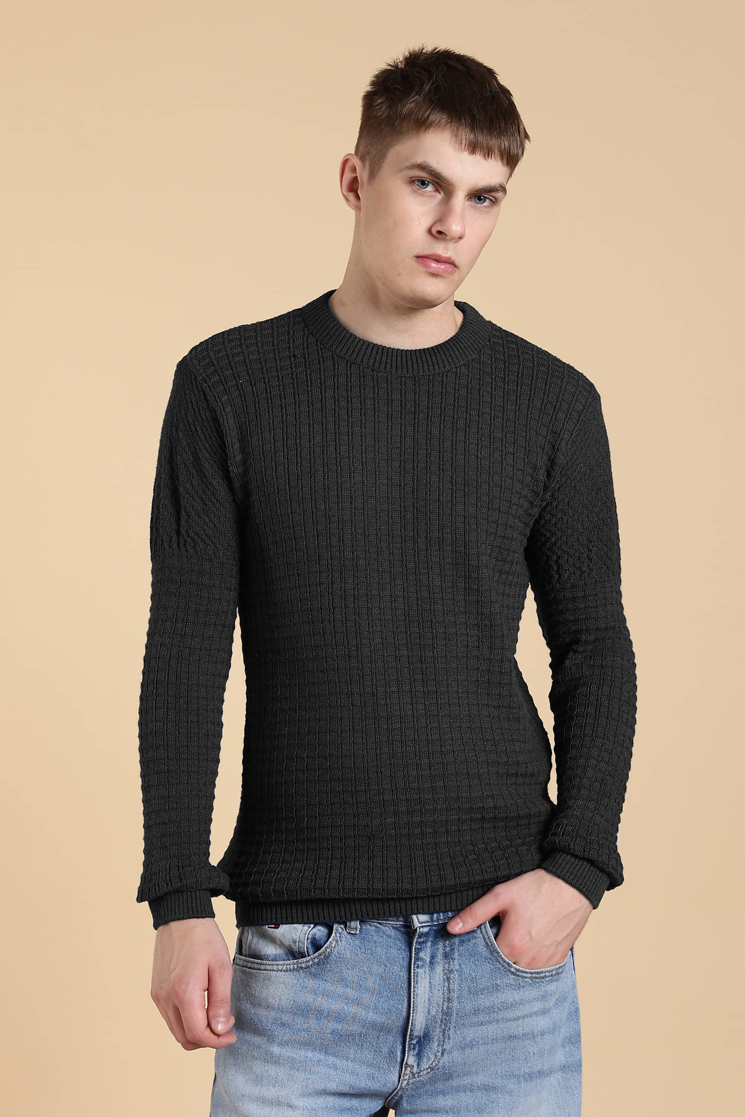 CAT BUNNY Woollen Round Neck Men's Full Sleeves Pullover Sweater - Dark Grey ( Pack of 1 )     			CAT BUNNY Woollen Round Neck Men's Full Sleeves Pullover Sweater - Dark Grey ( Pack of 1 )