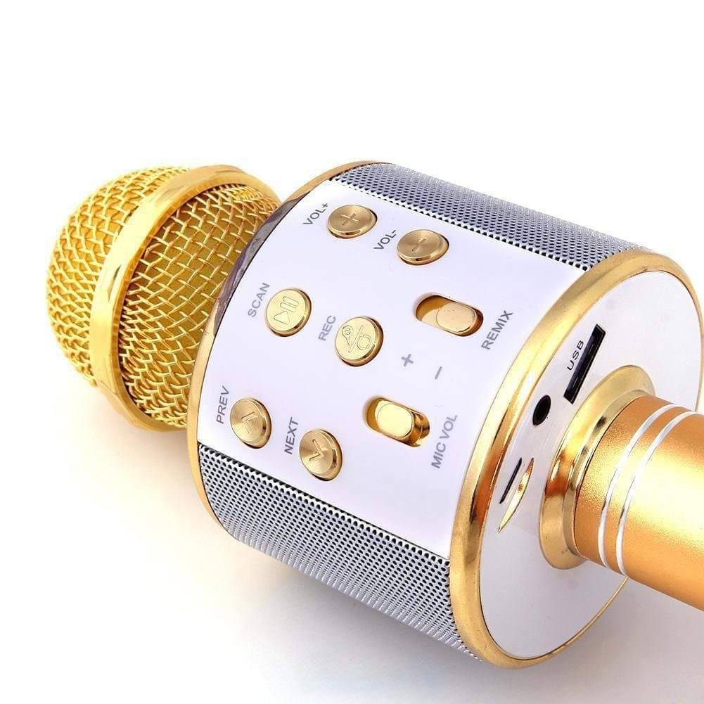     			Toonkiz Wireless Mic Advance Handheld Wireless Singing Mike Multi-Function Bluetooth Karaoke Mic with Microphone Speaker for All Smart