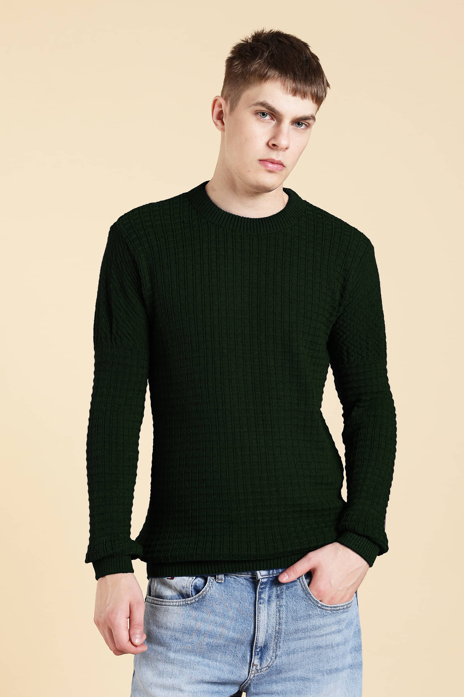     			fashlook Woollen Round Neck Men's Full Sleeves Pullover Sweater - Green ( Pack of 1 )