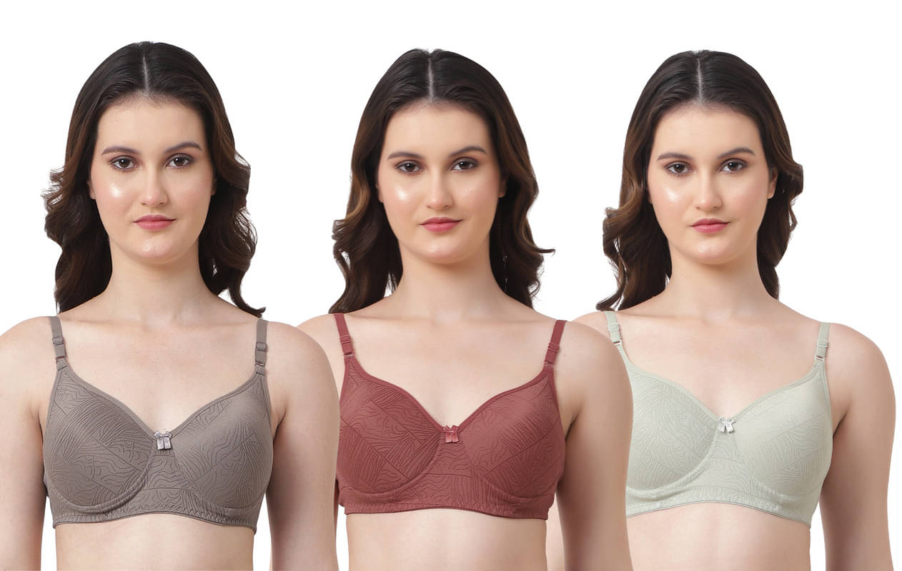     			Esoroucha Pack of 3 Elastane Lightly Padded Everyday Bra For Women ( Brown )