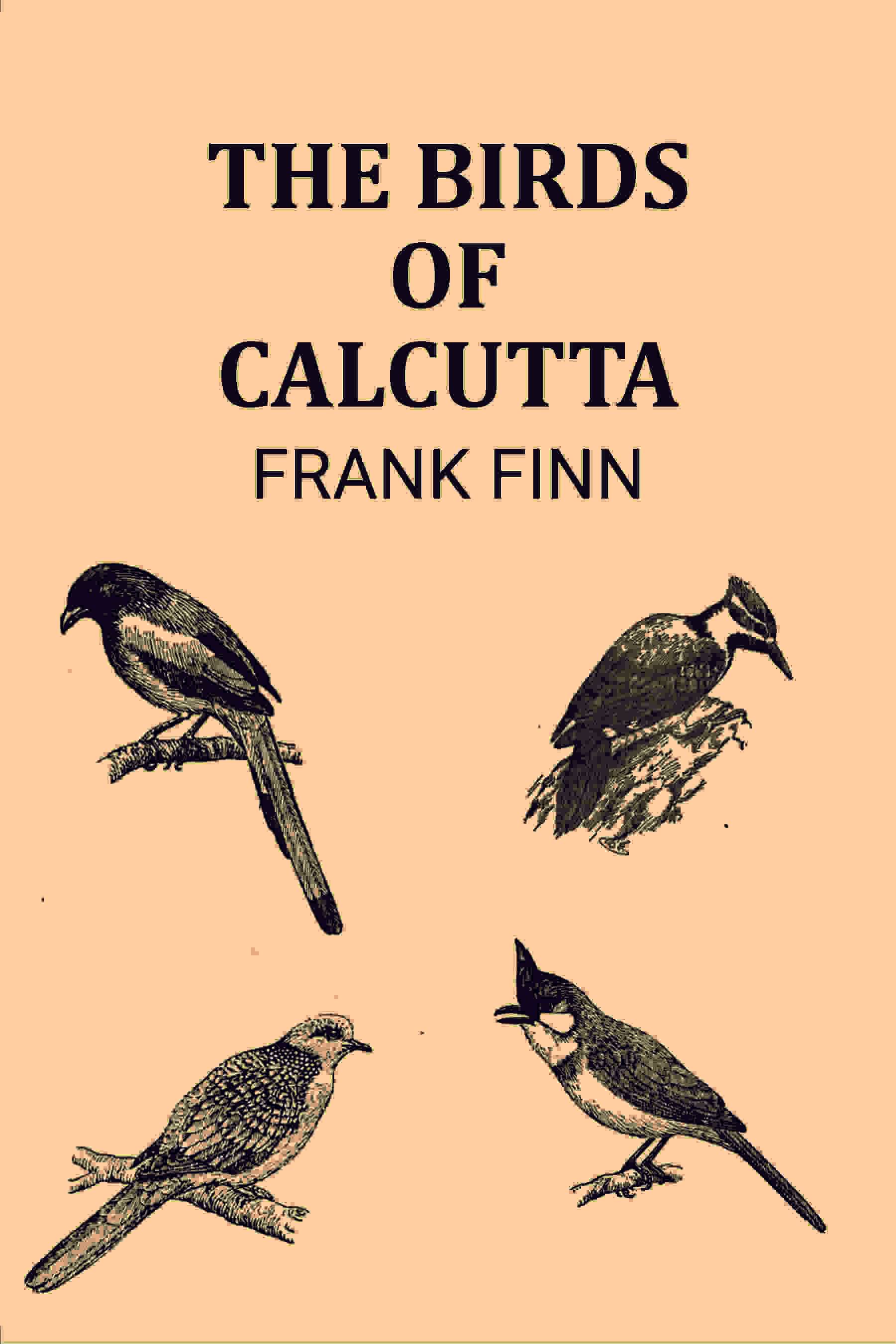     			The Birds of Calcutta