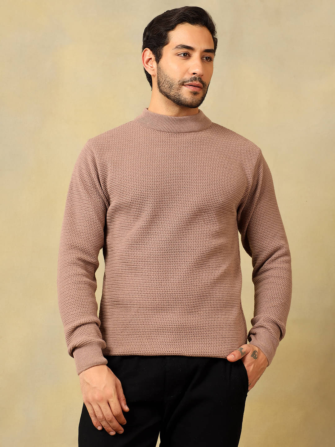     			Voxmonks Acrylic High Neck Men's Full Sleeves Pullover Sweater - Beige ( Pack of 1 )