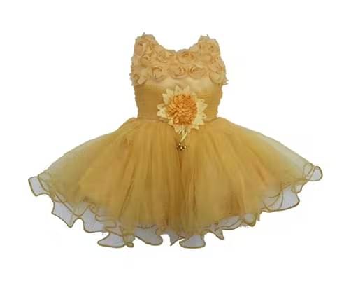     			samjho fashion Net Frock For Baby Girls ( Pack of 1 , Beige )