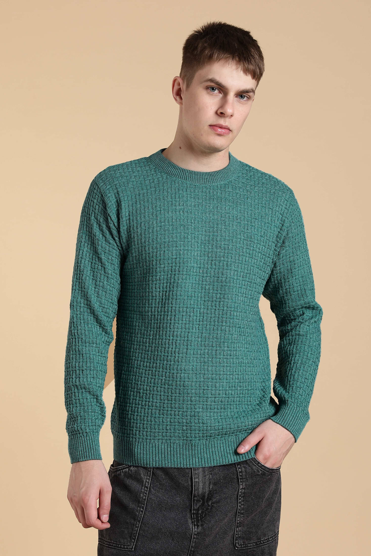     			nikline Woollen Blend Round Neck Men's Full Sleeves Pullover Sweater - Sea Green ( Pack of 1 )