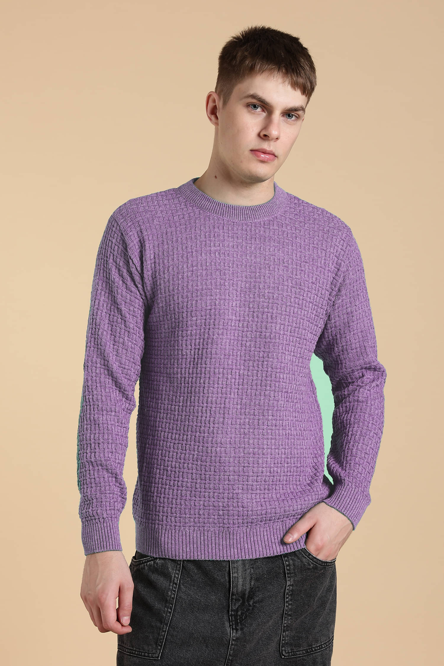     			CAT BUNNY Woollen Blend Round Neck Men's Full Sleeves Pullover Sweater - Purple ( Pack of 1 )