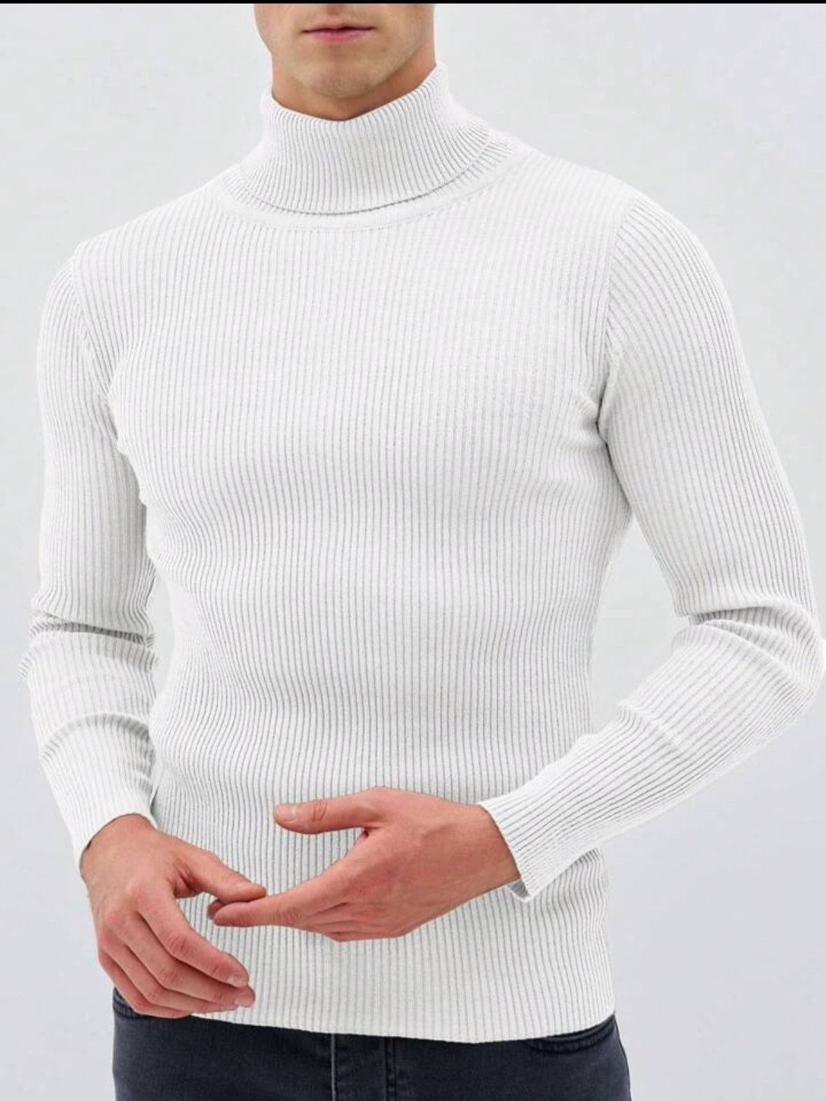     			TRENDBITE Woollen Blend Round Neck Men's Full Sleeves Pullover Sweater - White ( Pack of 1 )