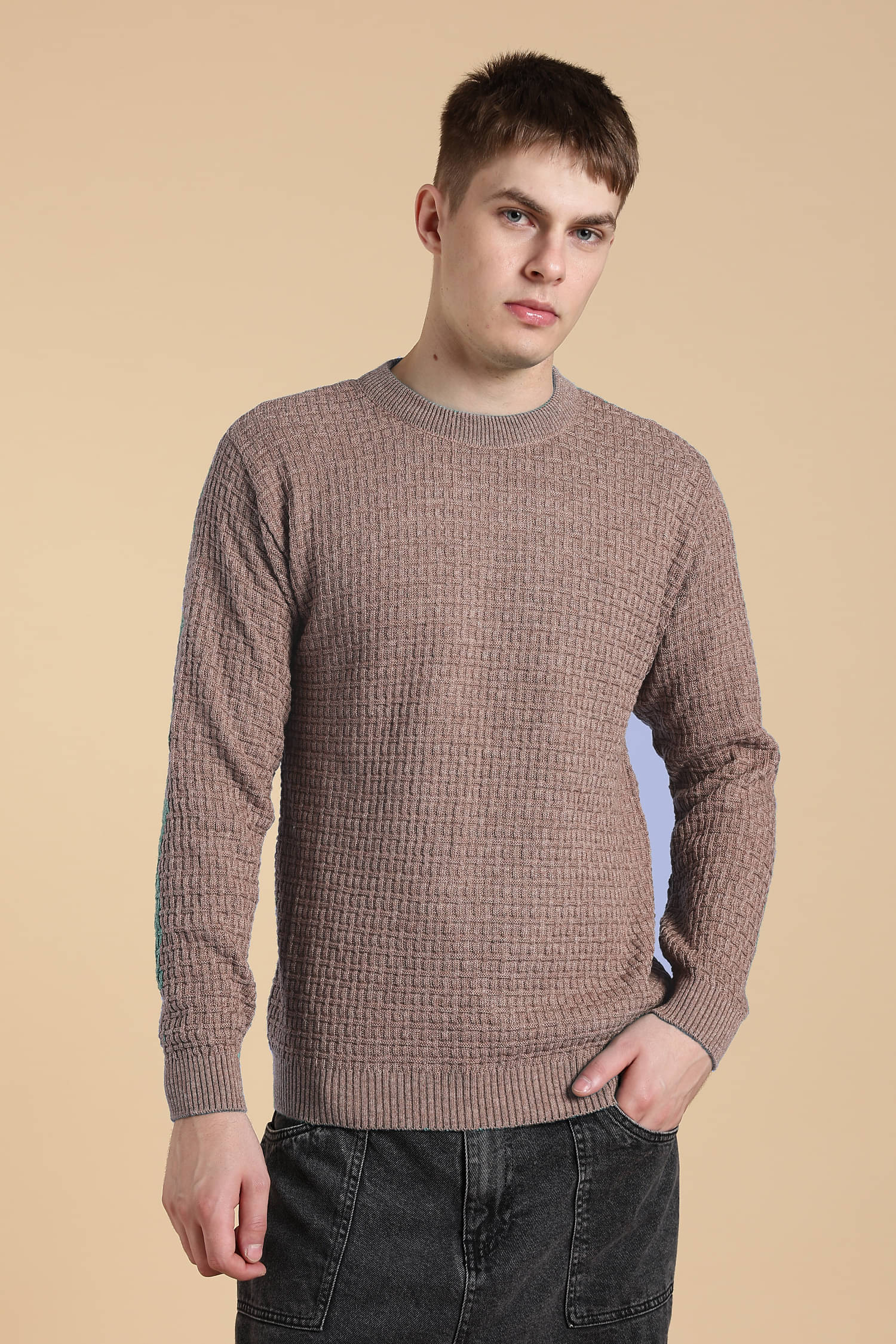     			freaks Woollen Blend Round Neck Men's Full Sleeves Pullover Sweater - Cream ( Pack of 1 )