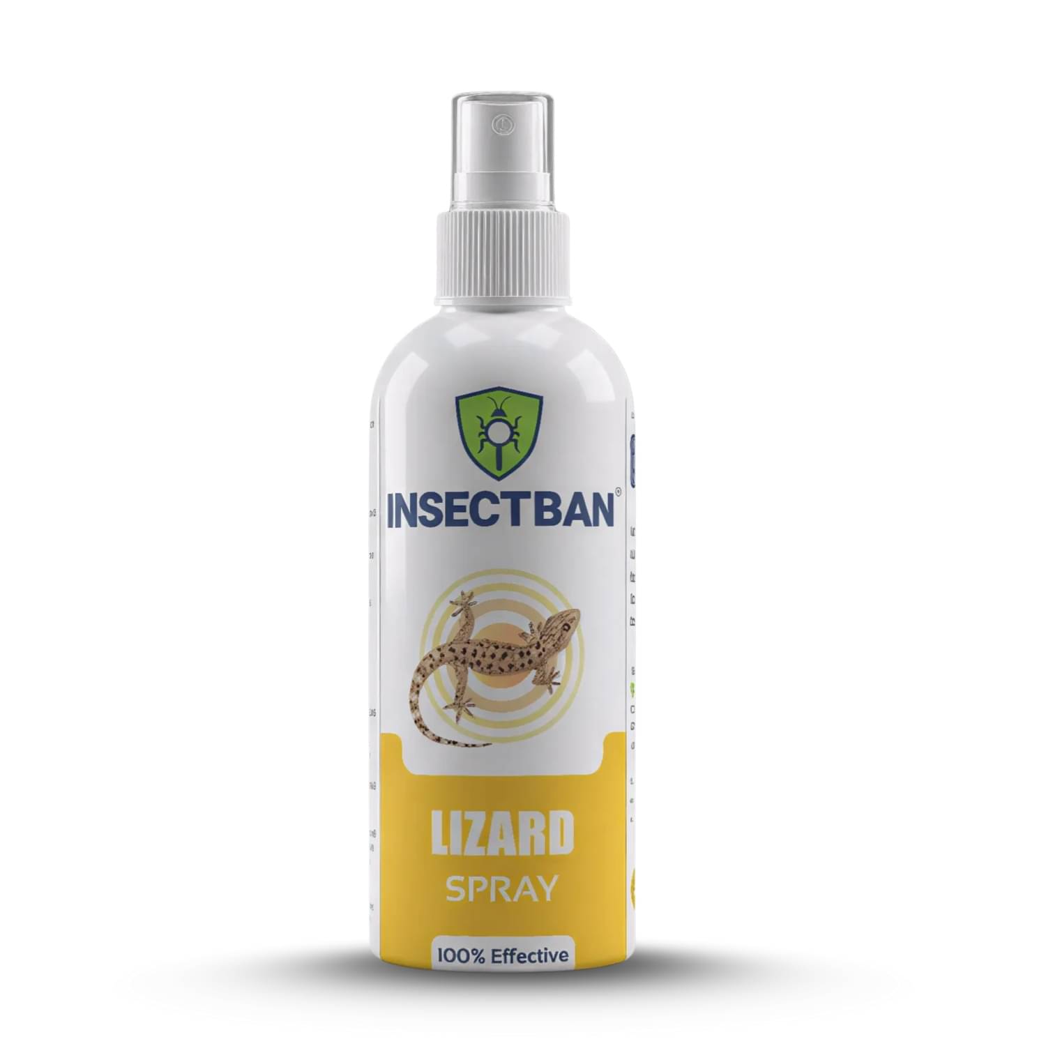     			INSECTBAN Lizard Spray for Home | Office & Spider Spray | Repellent (200ml)