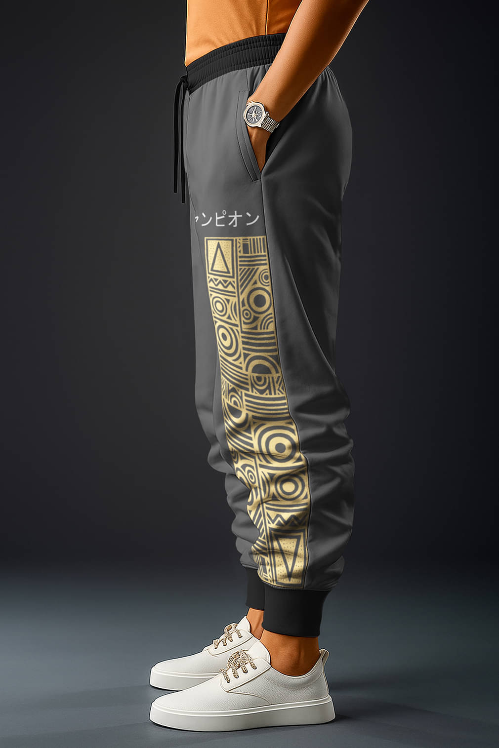     			AIFEES Multicolor 2 Cotton Blend Men's Trackpants ( Pack of 1 )