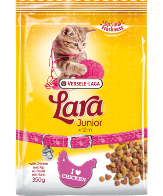     			Lara Junior Dry Cat Food - 350g | Chicken Flavor for Growing Kittens | Complete Nutrition to Support Healthy Growth, Strong Immunity & Digestive Health | High-Quality Ingredients