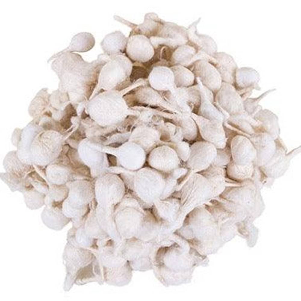     			Shree Shyam Corporetion Cotton Wicks 1000 ( Pack of 1 )