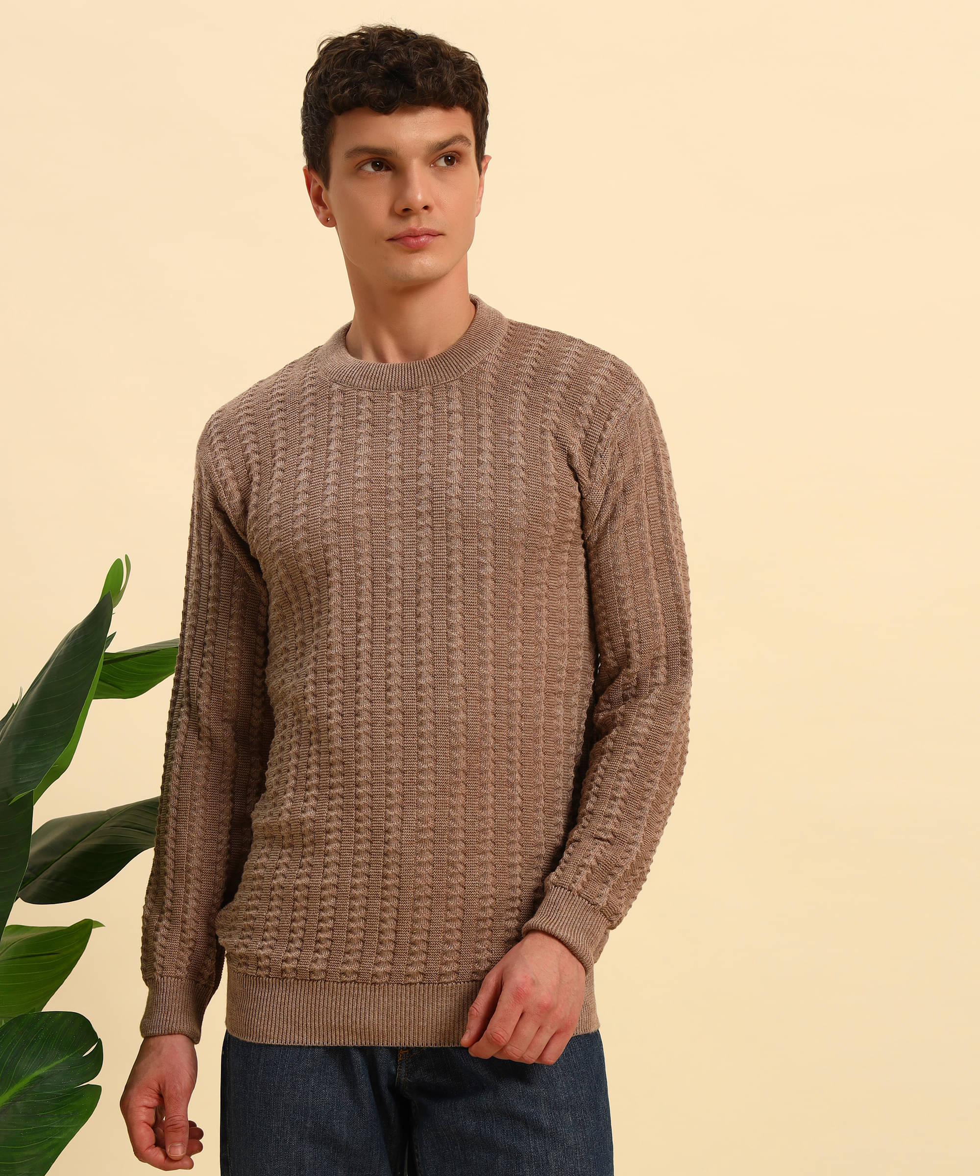    			Canblar Woollen Blend Round Neck Men's Full Sleeves Pullover Sweater - Multi ( Pack of 1 )