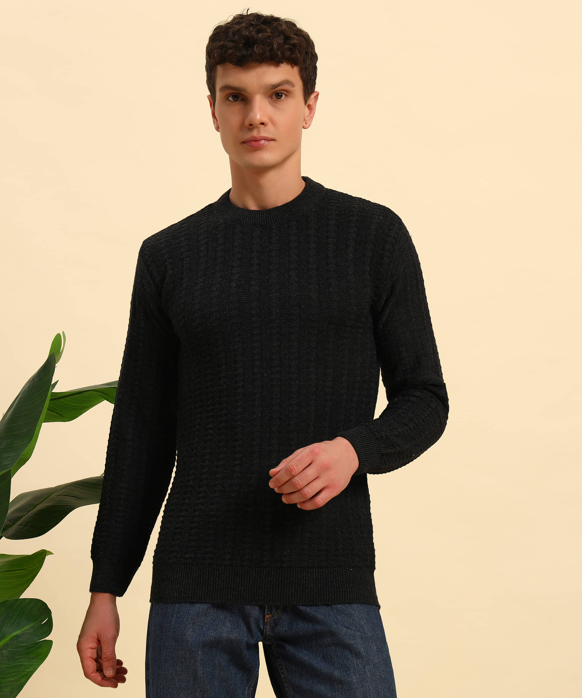     			Canblar Woollen Blend Round Neck Men's Full Sleeves Pullover Sweater - Black ( Pack of 1 )