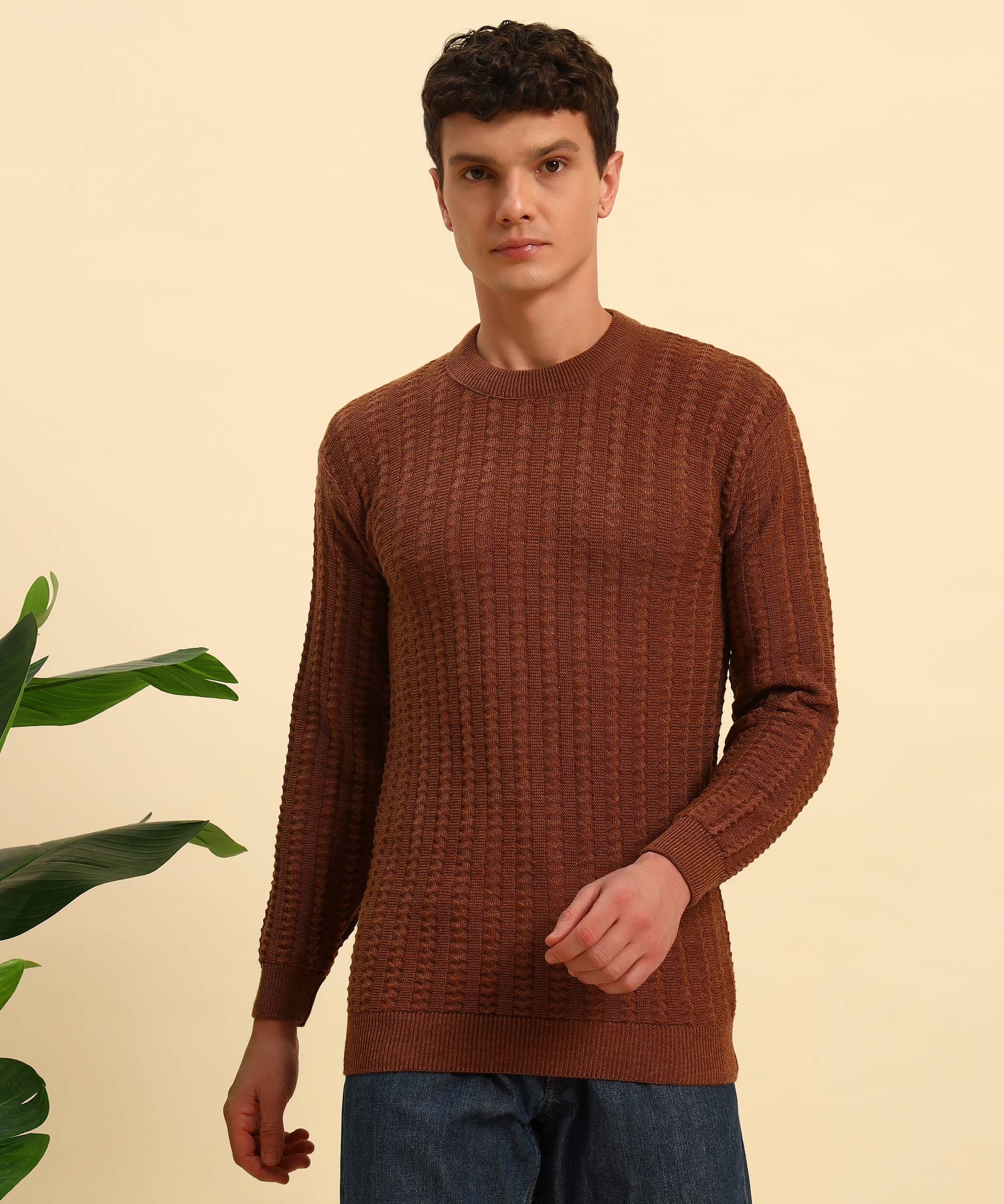     			Canblar Woollen Blend Round Neck Men's Full Sleeves Pullover Sweater - Brown ( Pack of 1 )