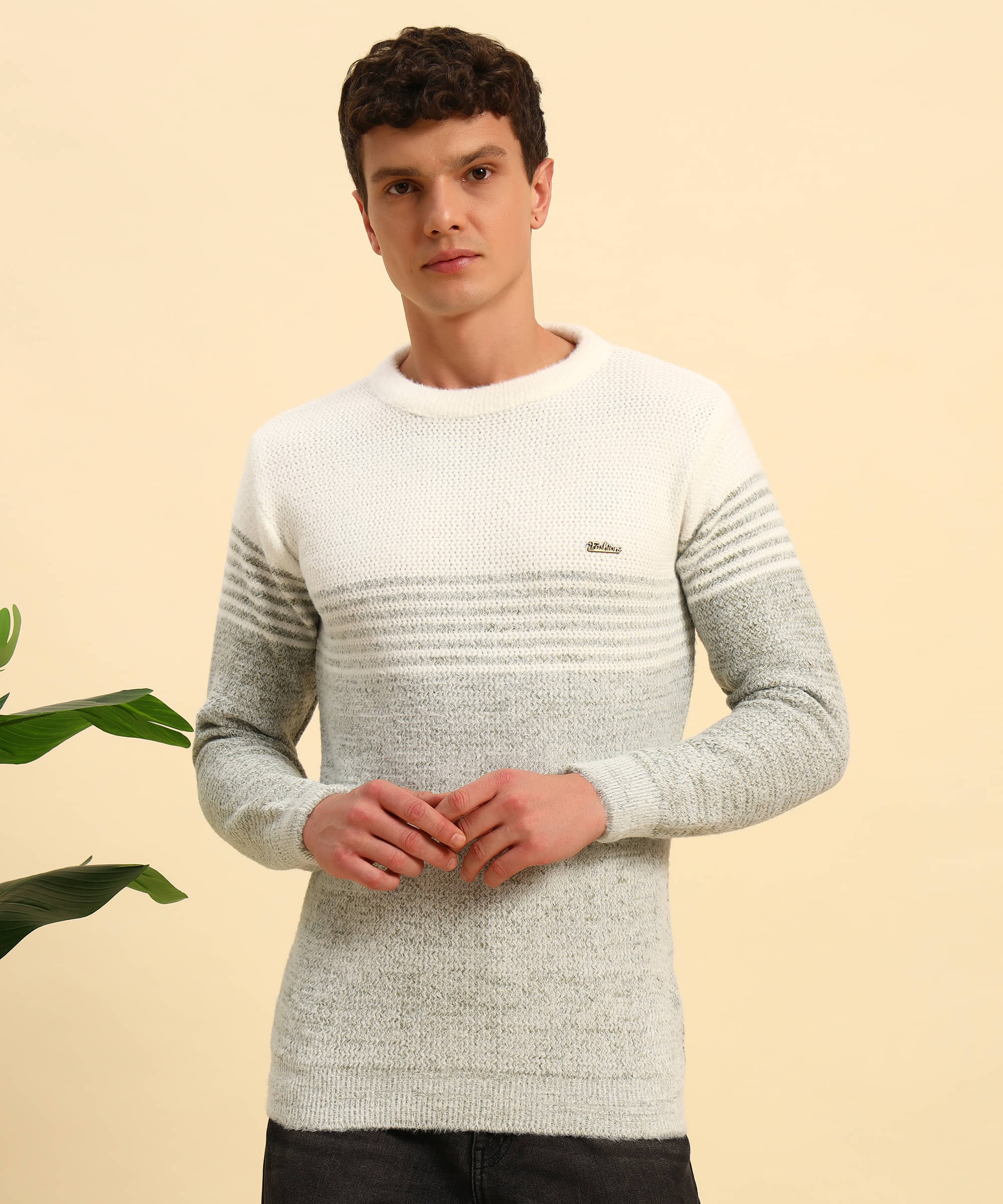     			Canblar Woollen Blend Round Neck Men's Full Sleeves Pullover Sweater - Green ( Pack of 1 )