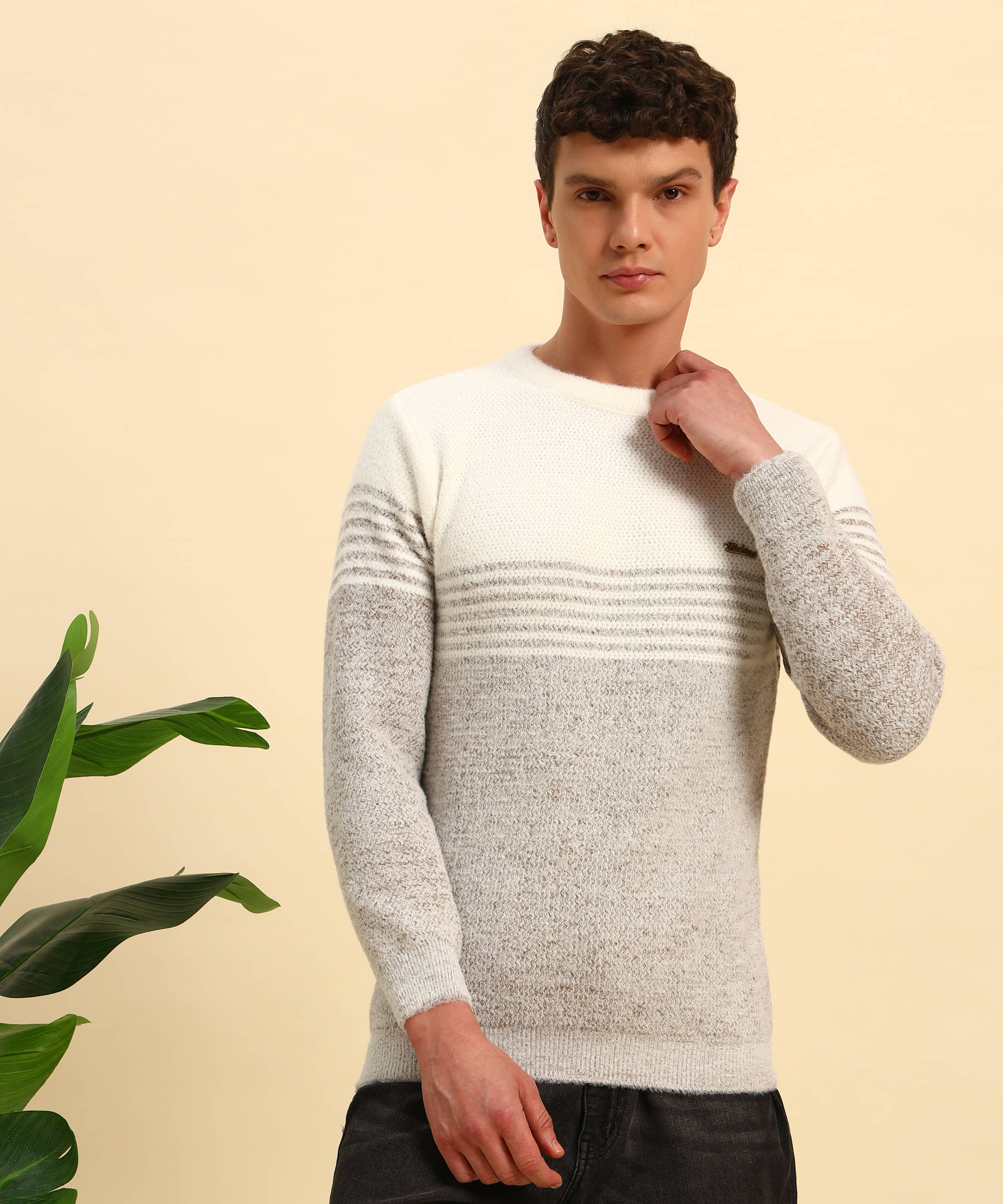     			Canblar Woollen Blend Round Neck Men's Full Sleeves Pullover Sweater - Coffee ( Pack of 1 )